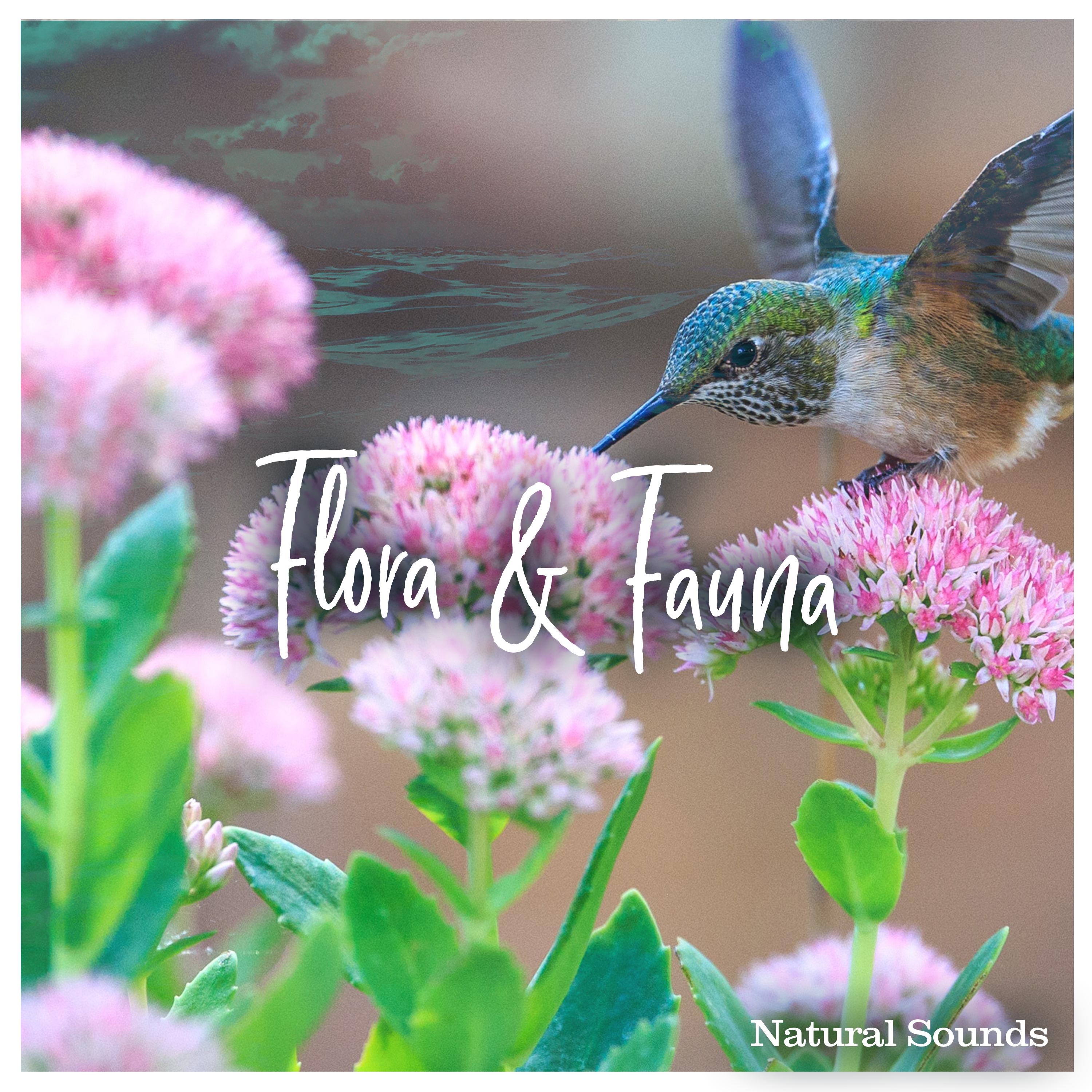 Flora & Fauna