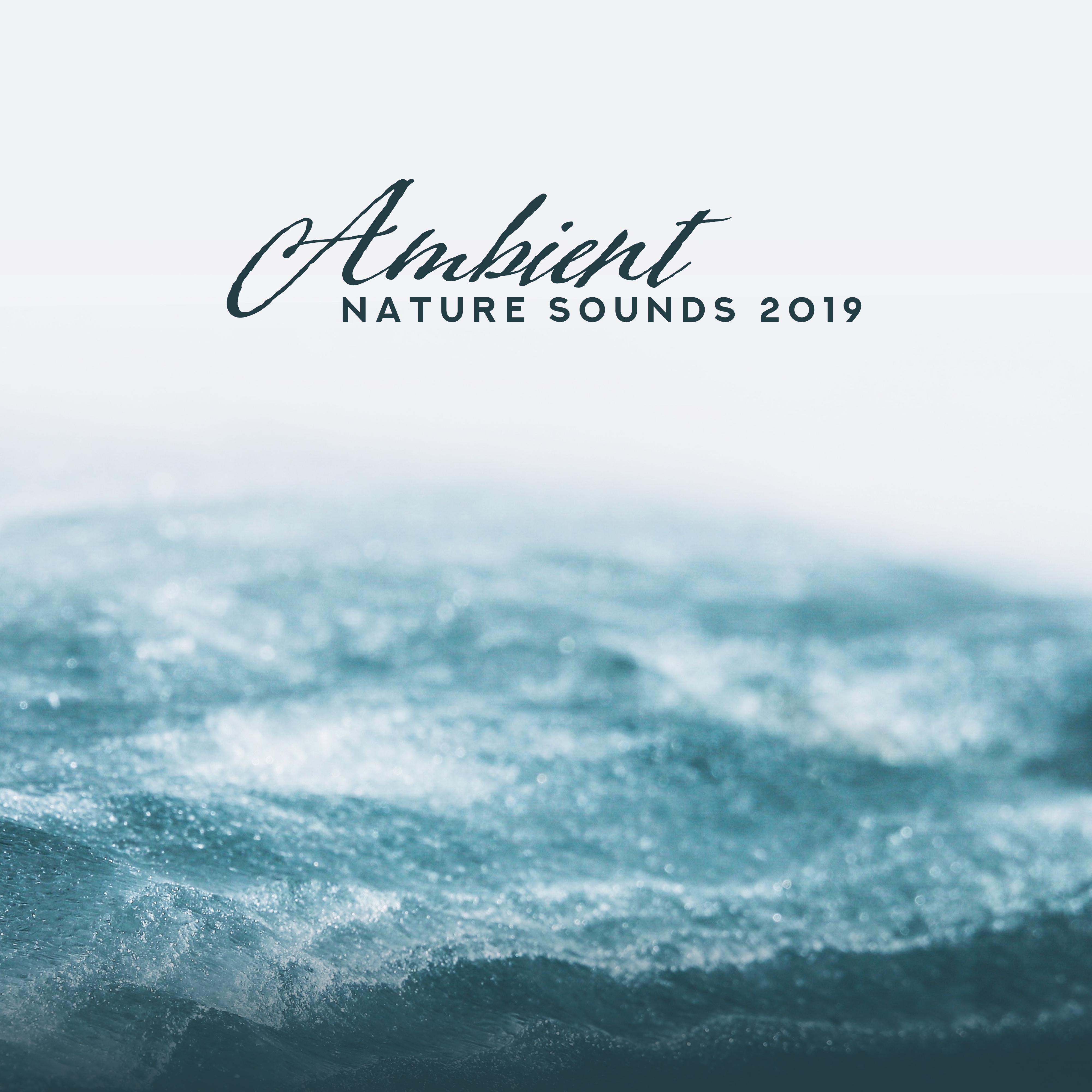 Ambient Nature Sounds 2019: 15 Relaxing Melodies for Sleep, Spa & Wellness, Relax, Massage, Yoga & Deep Meditation, Zen, Lounge