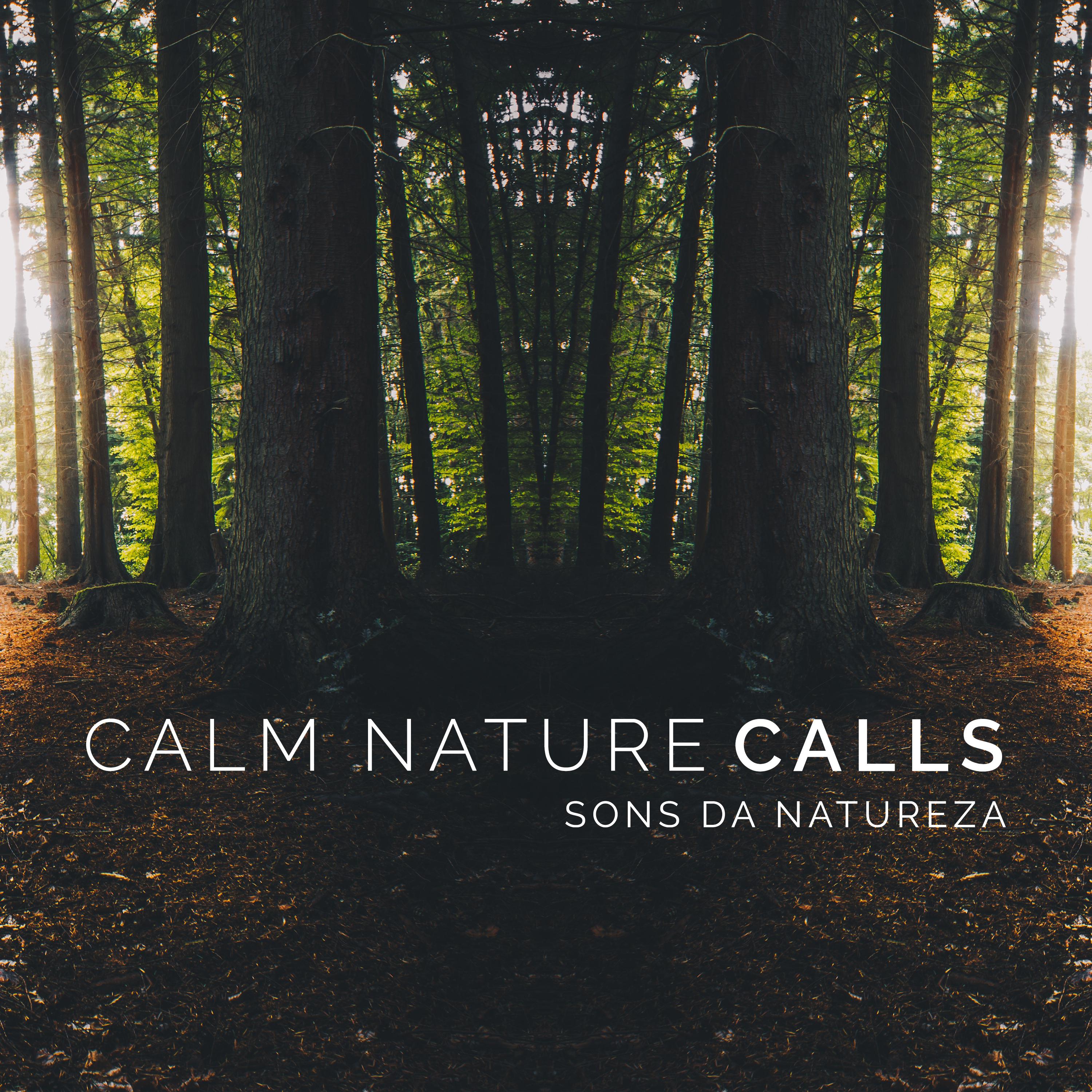 Calm Nature Calls