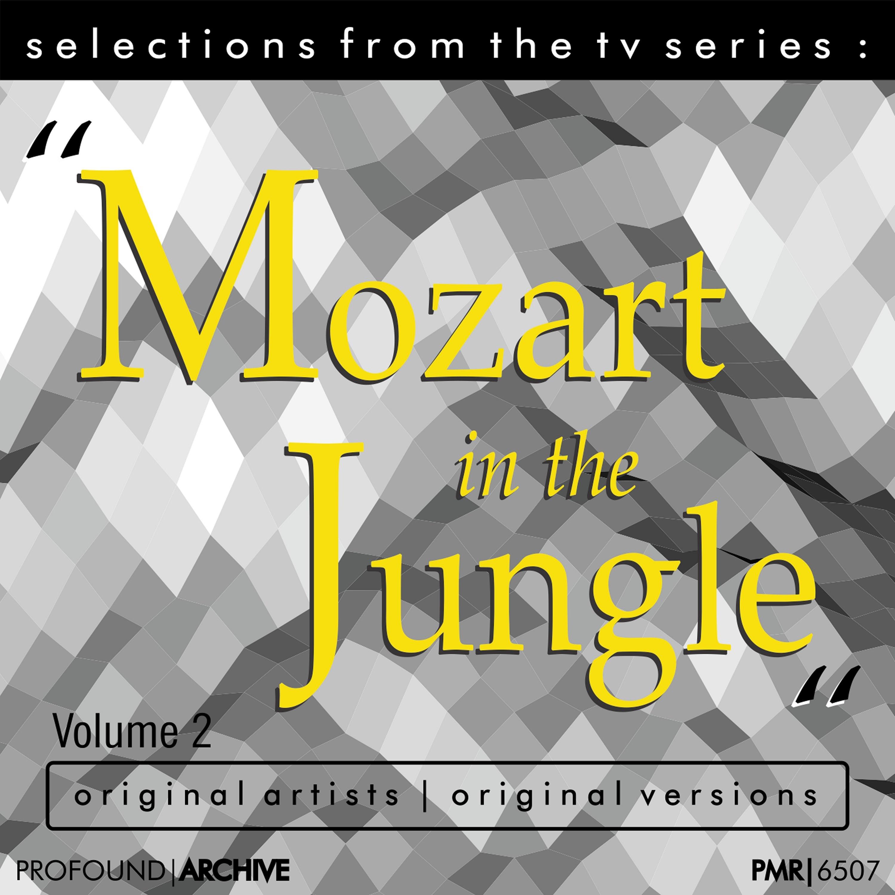 Selections from the TV Serie Mozart in the Jungle Volume 2