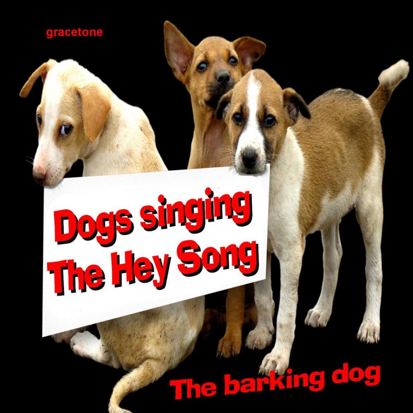 Dogs Singing the Hey Song