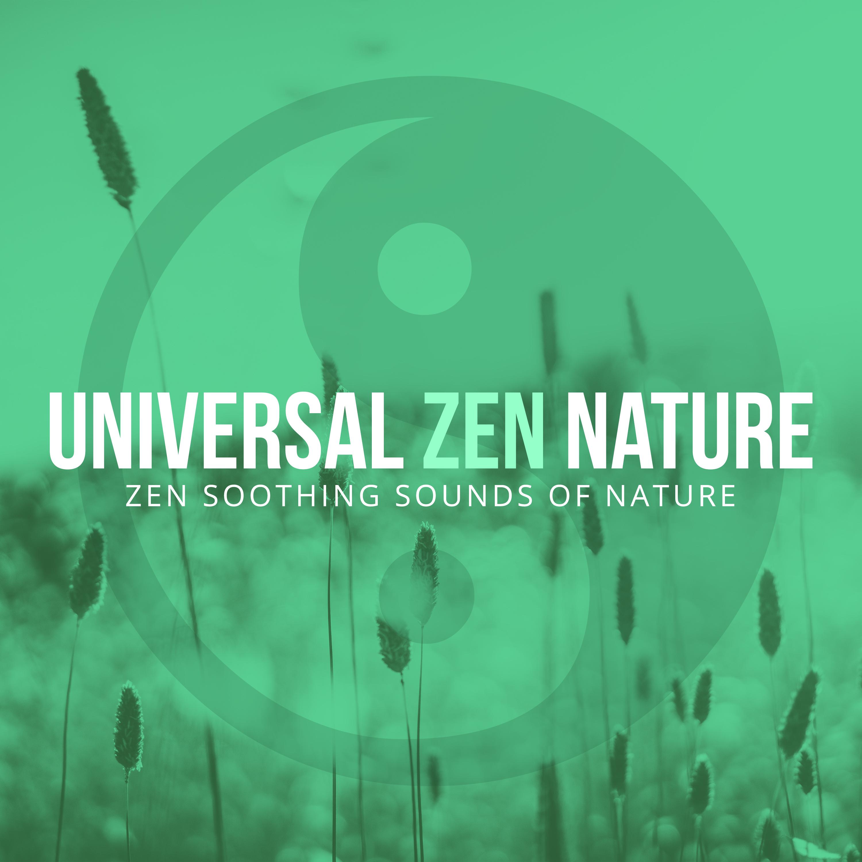 Universal Zen Nature