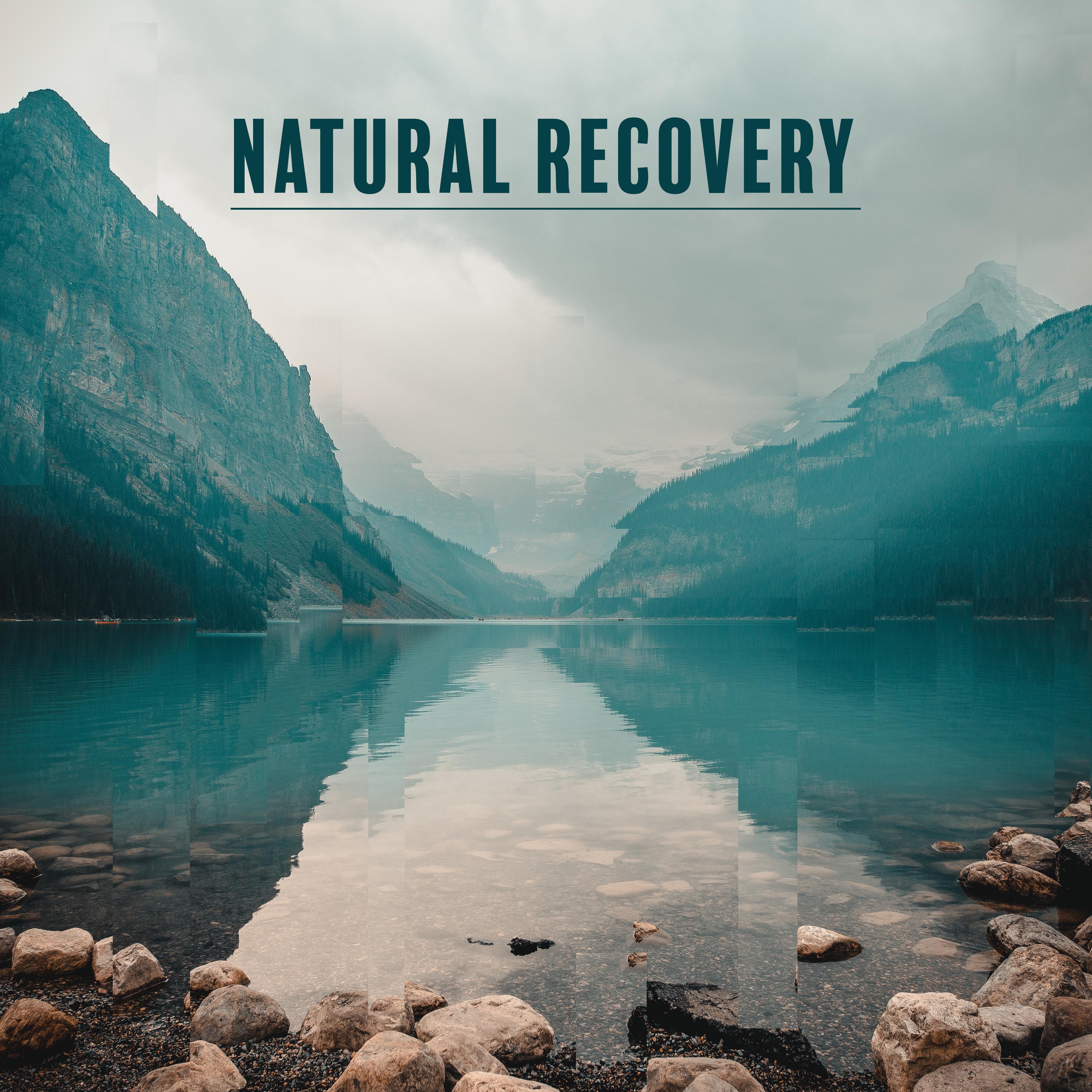Natural Recovery: Healing Relaxation Music for Stress and Tension as well as Insomnia and Sleep Problems, The Best Songs for the Spa, for Massage, Bathing, Therapy and Rest