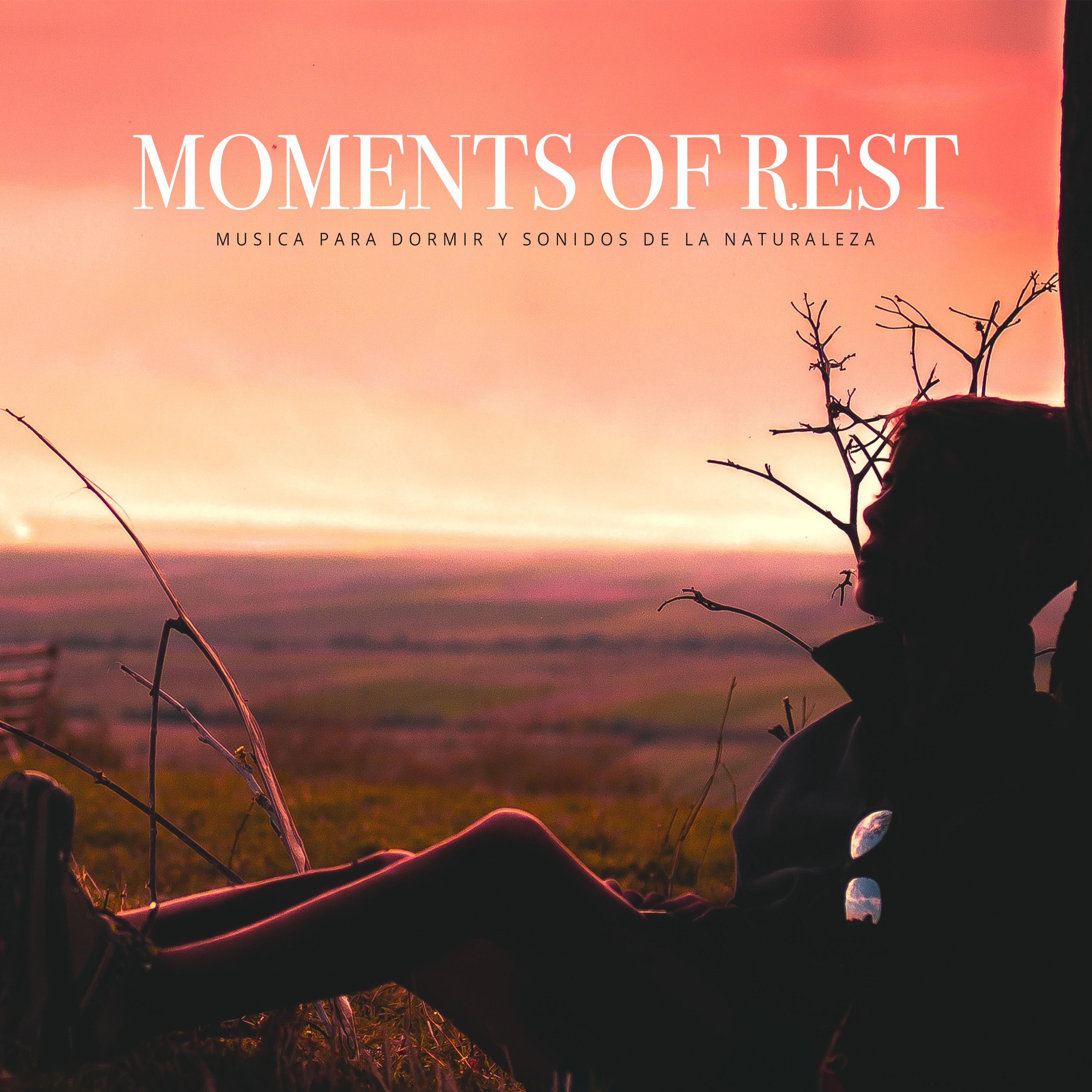 Moments of Rest
