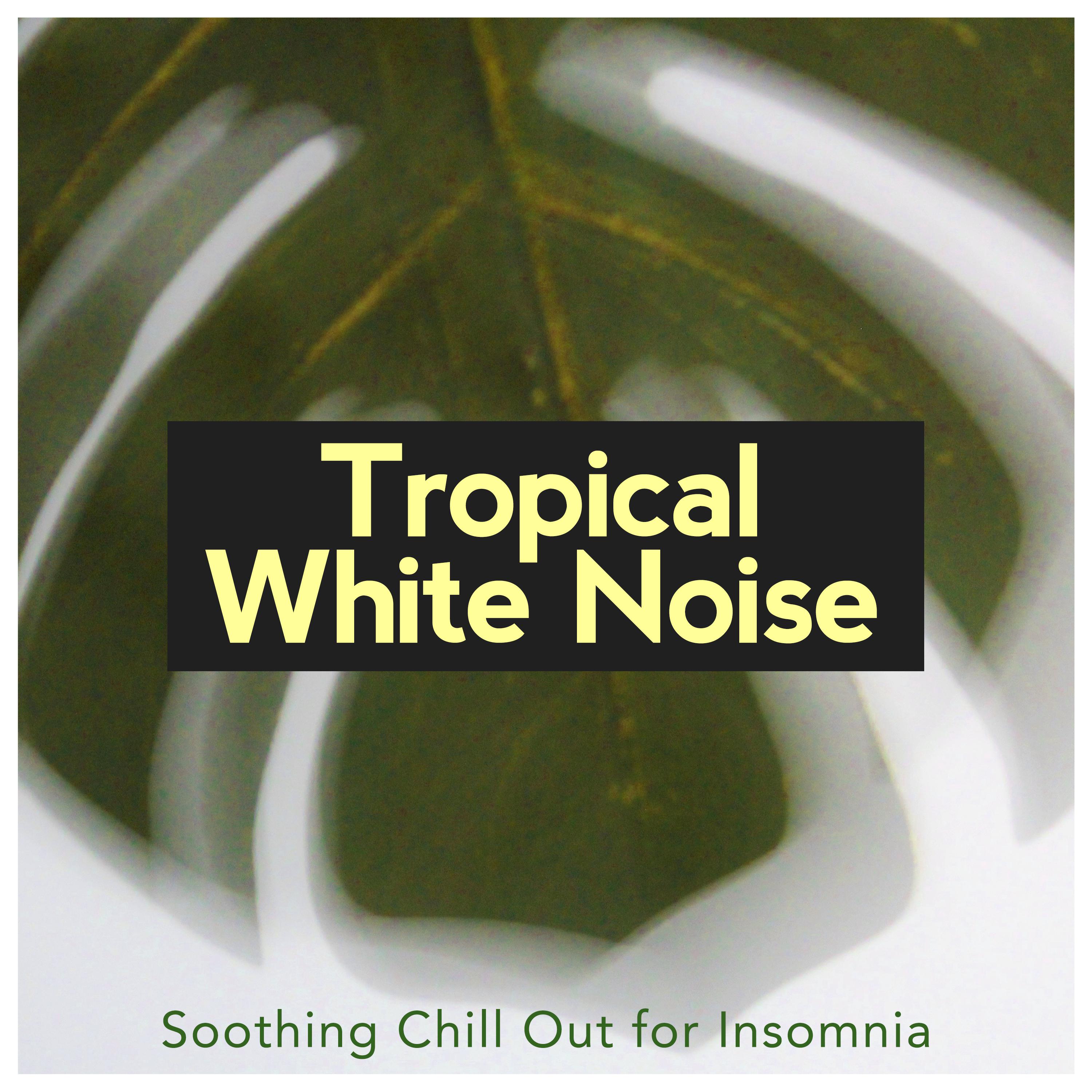 Tropical White Noise