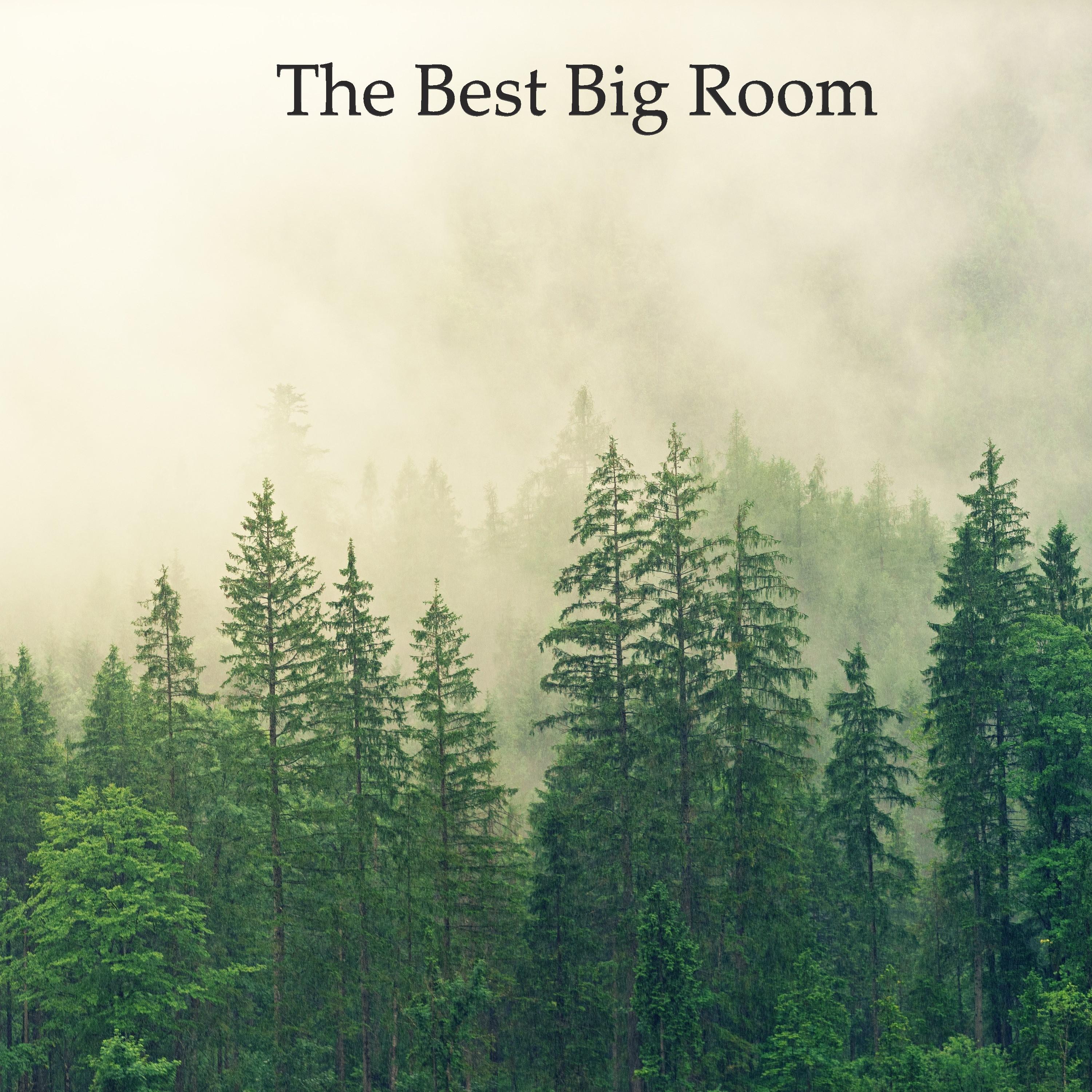 The Best Big Room Pt.016