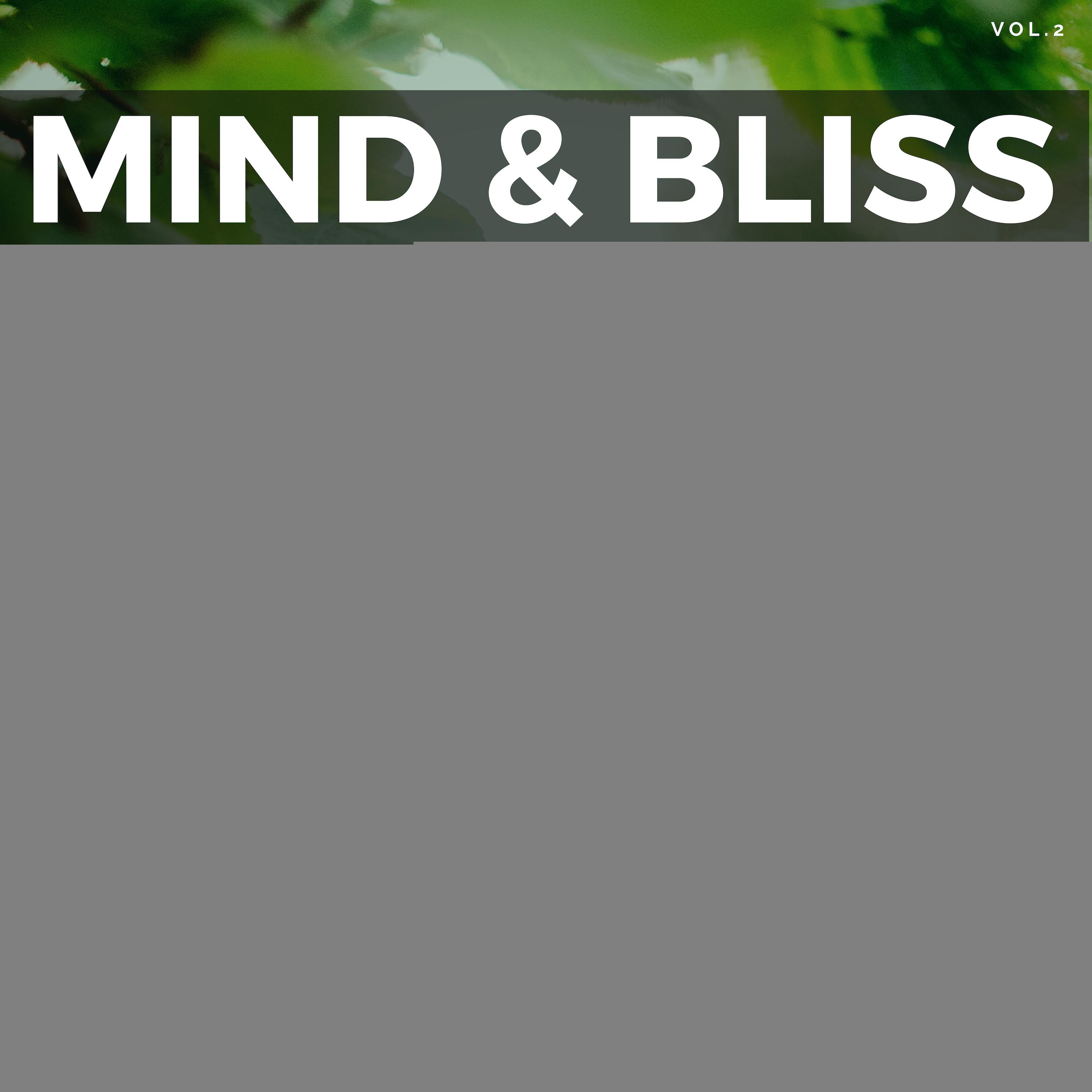 Mind & Bliss - Tracks For Deep Relaxation & Calmness, Vol.2