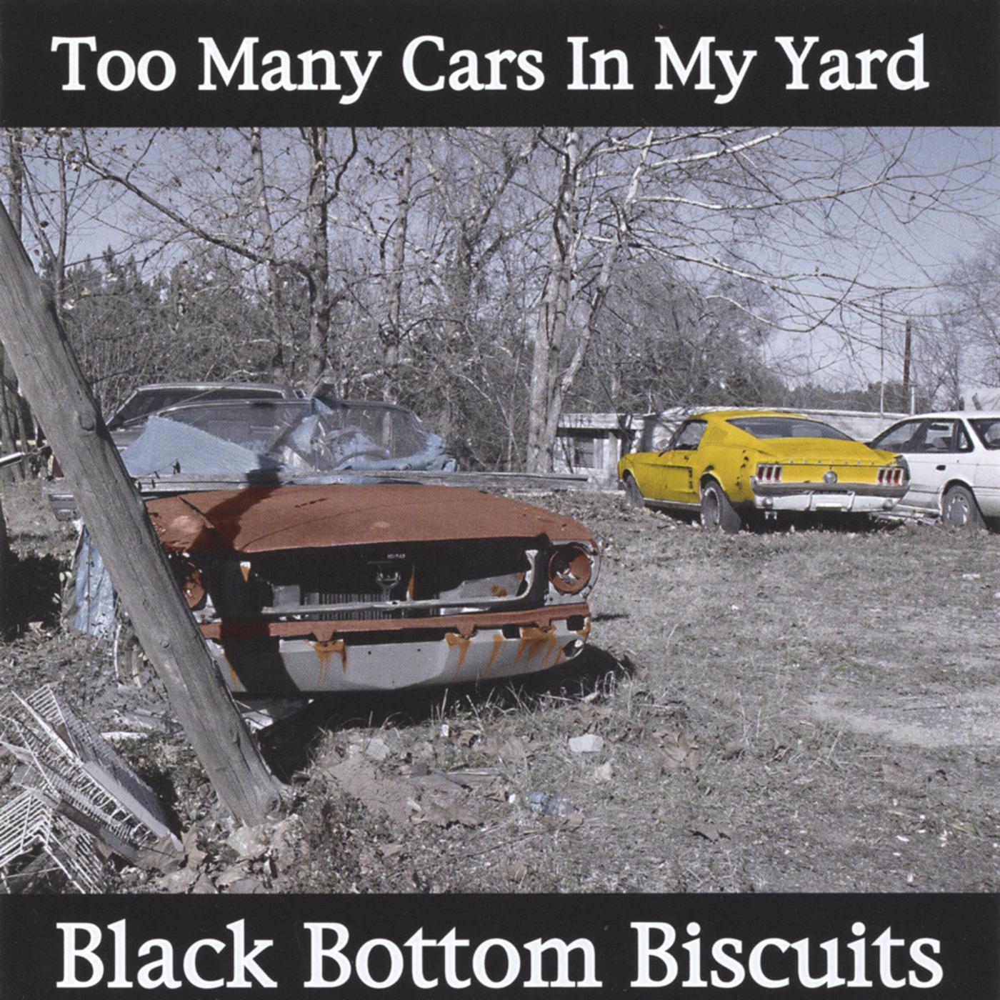 Black Bottom Biscuits