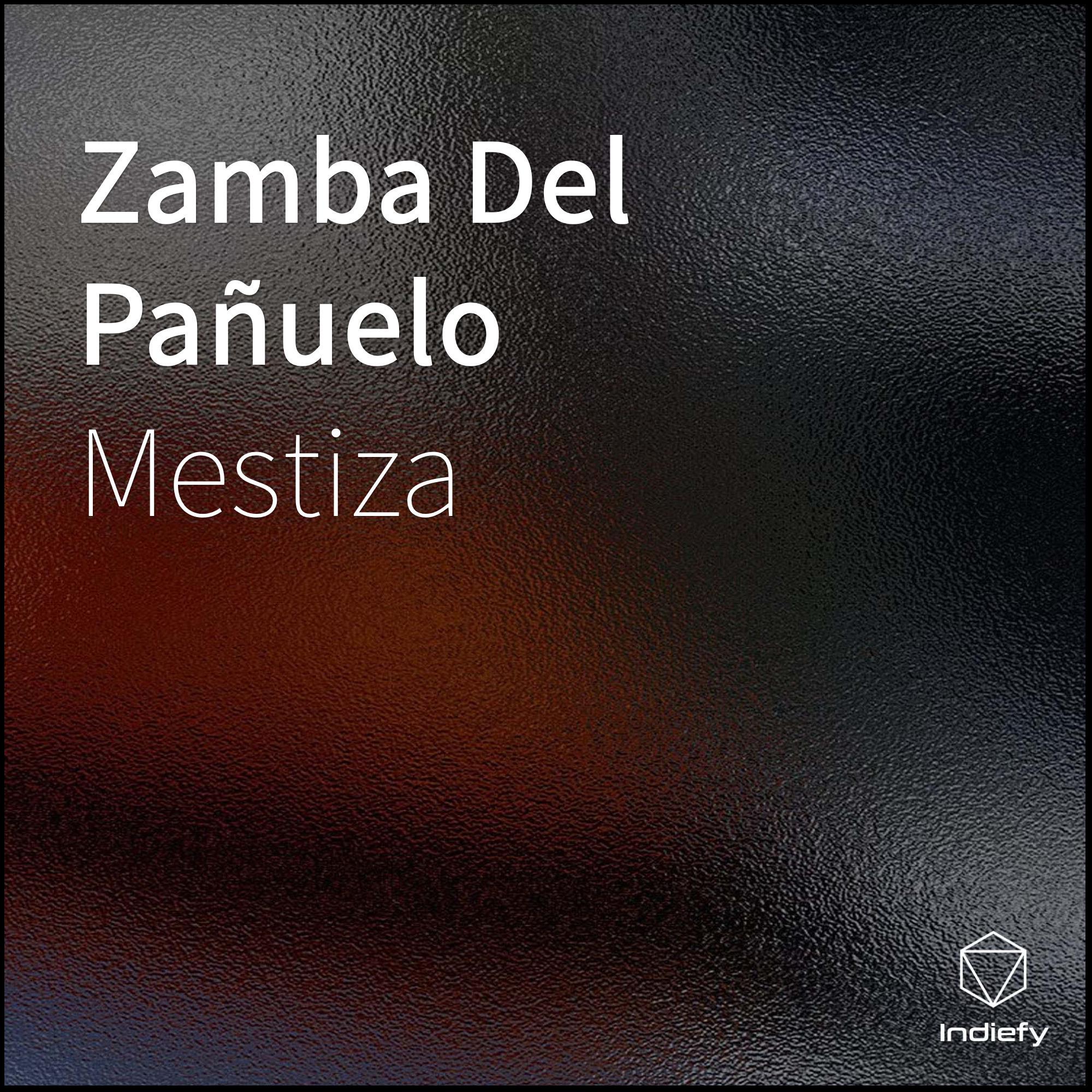 Zamba Del Pañuelo