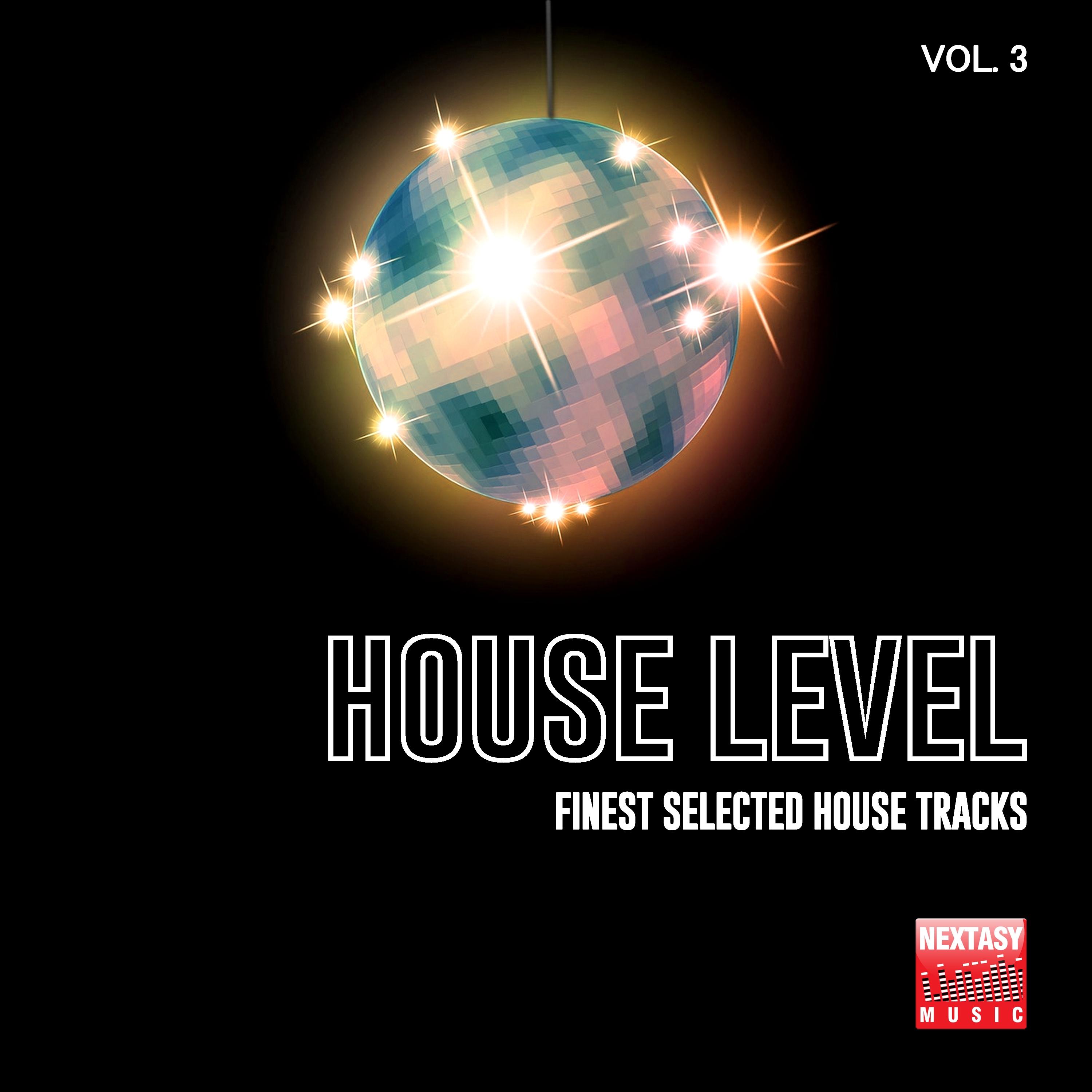 House Level, Vol. 3 (Finest Selected House Tracks)