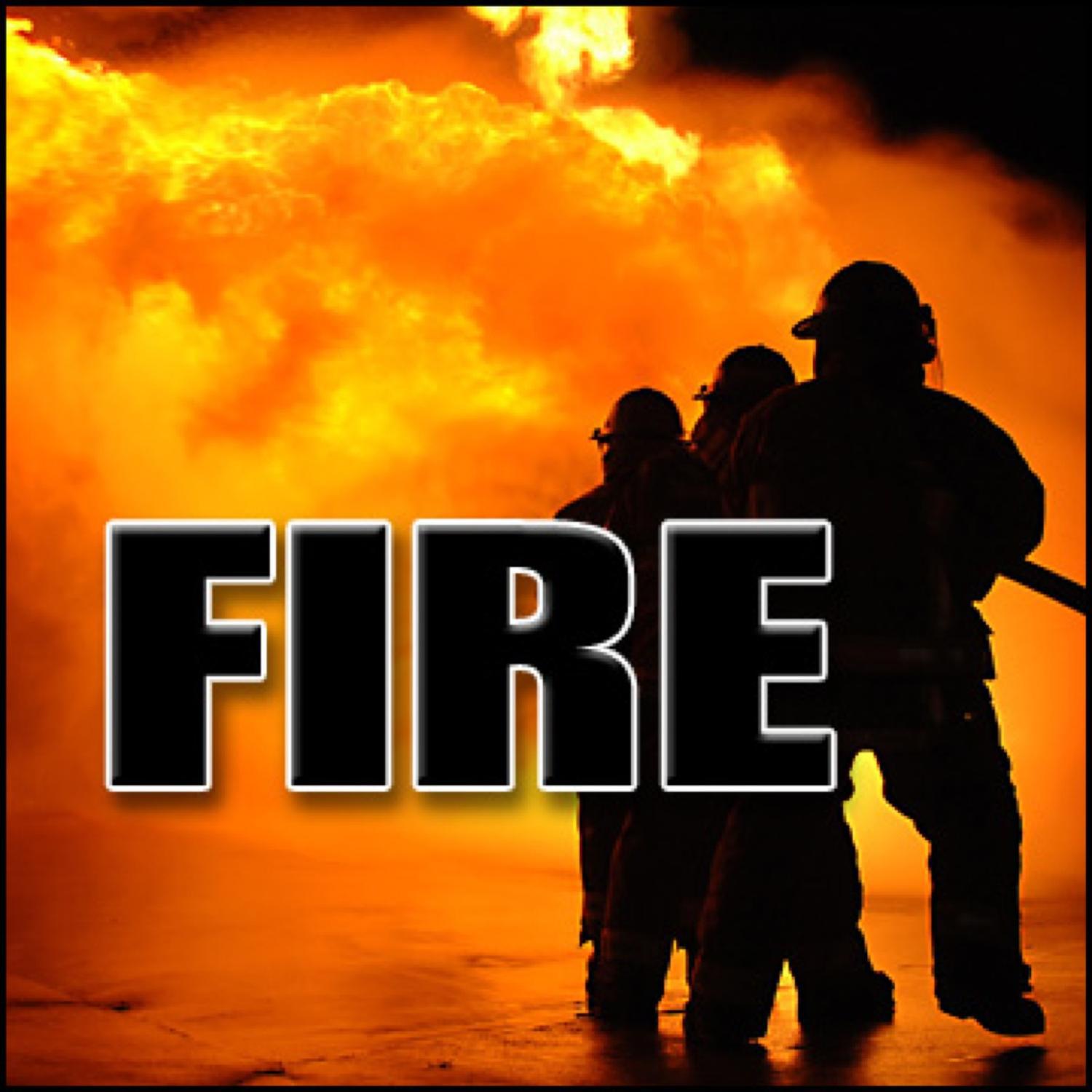 Fire - Wood Fire: Heavy Crackling Fire Scenes, Fires & Flames