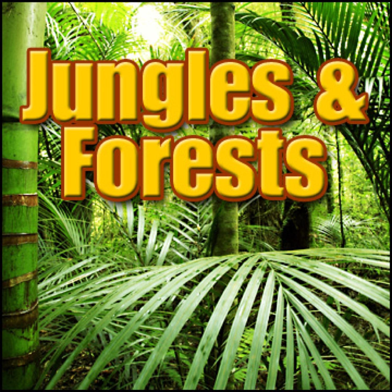Jungles & Forests: Sound Effects