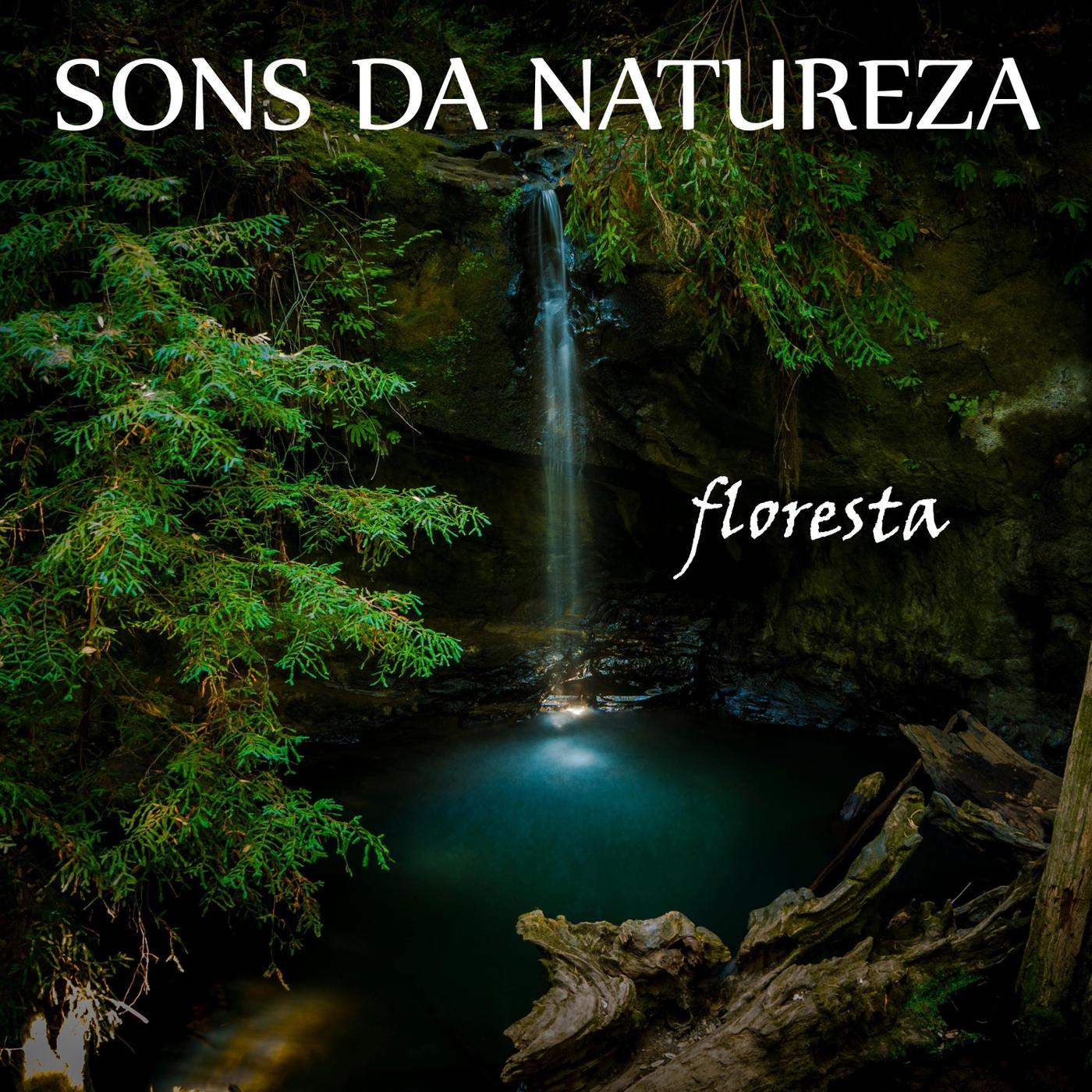 Sons da Natureza: Floresta, Pt. 27