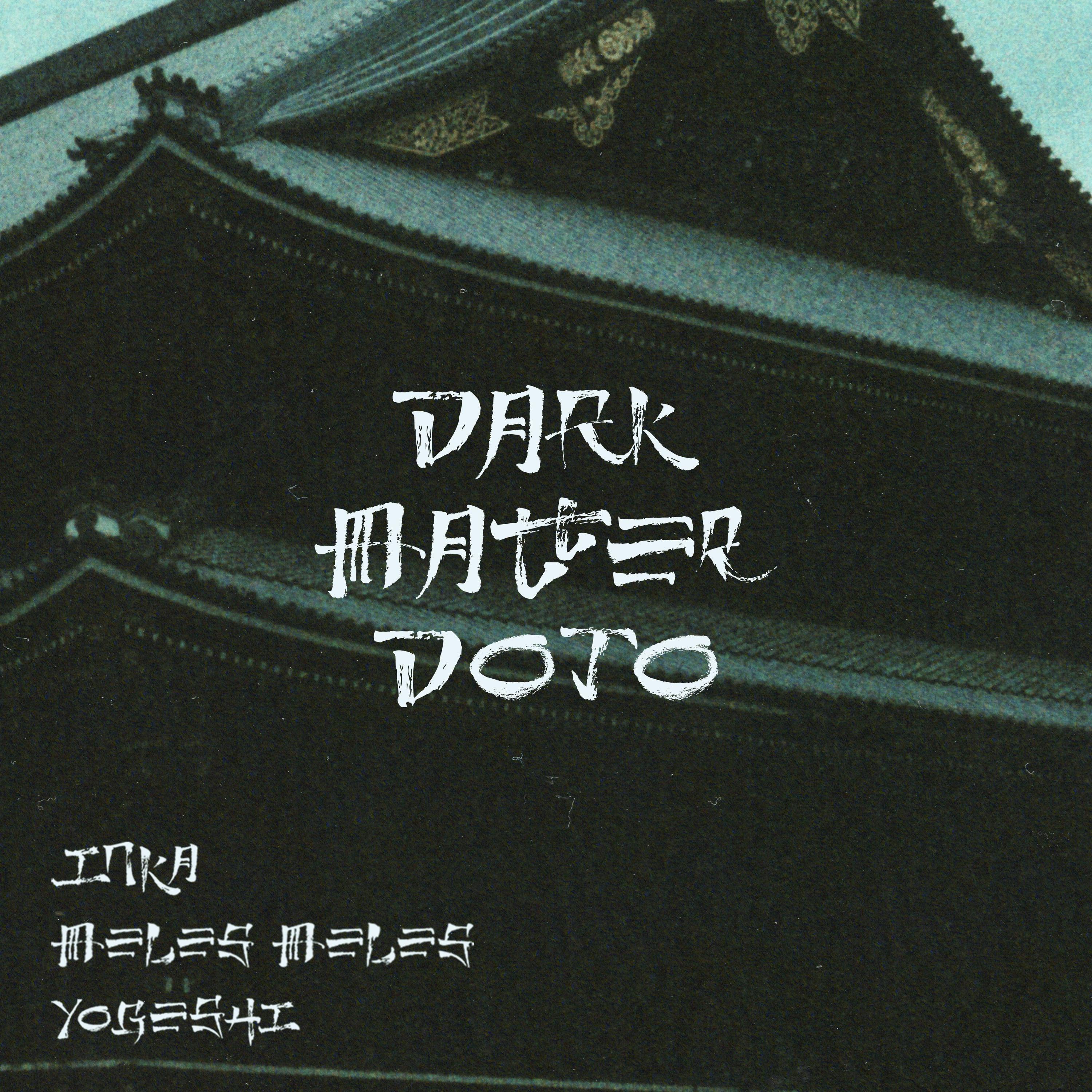 Dark Matter Dojo