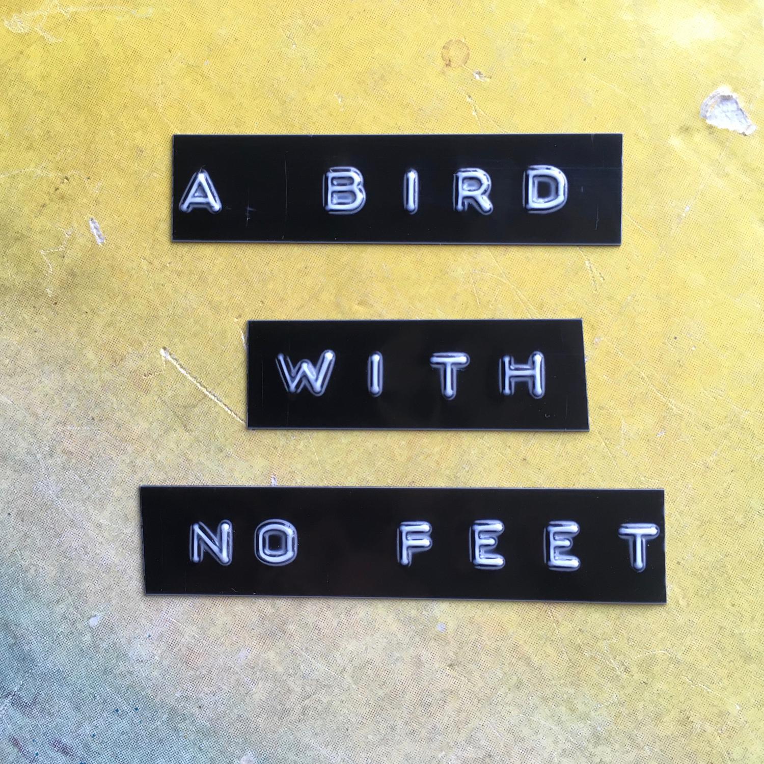 A Bird With No Feet