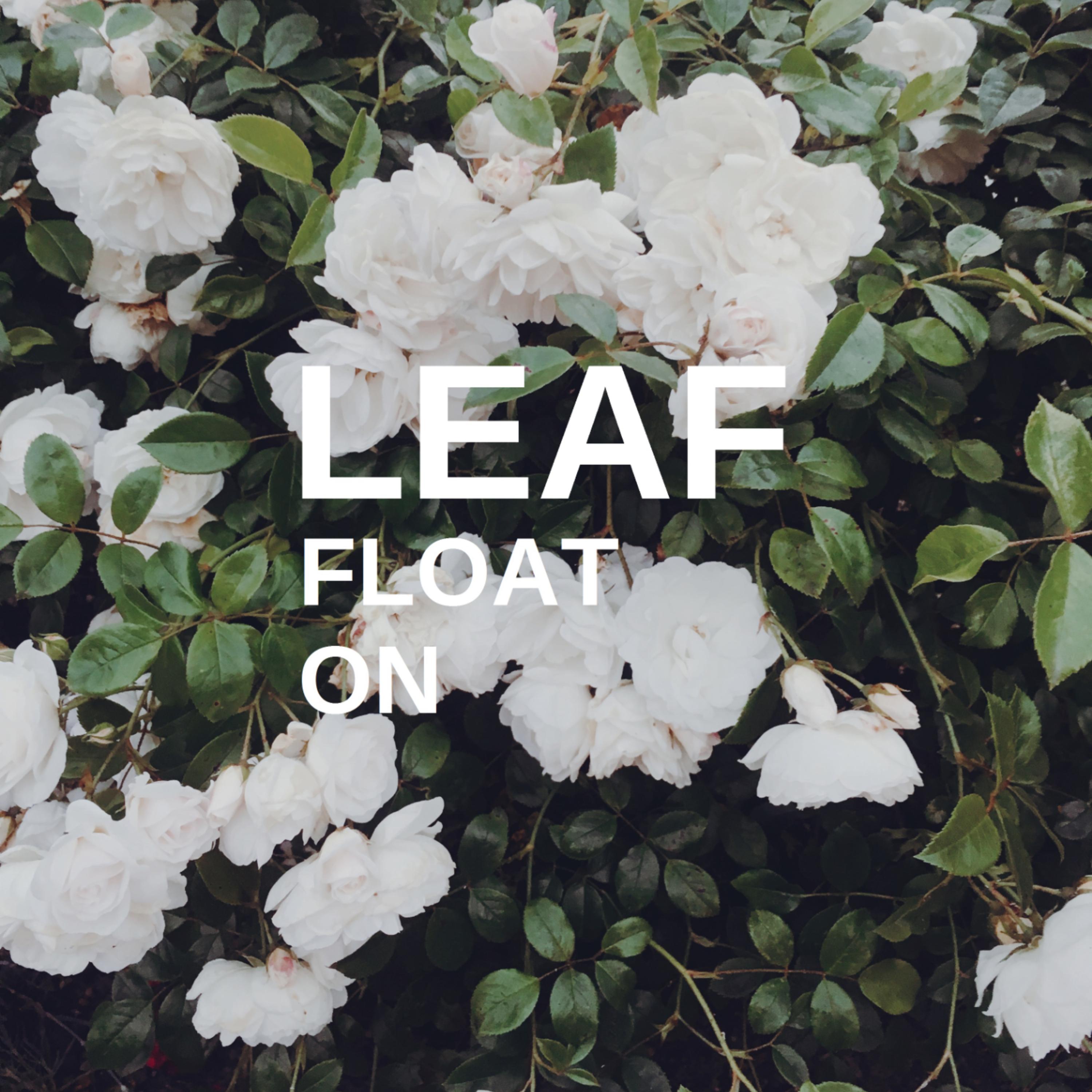 Float On