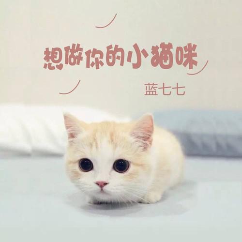 想做你的小猫咪