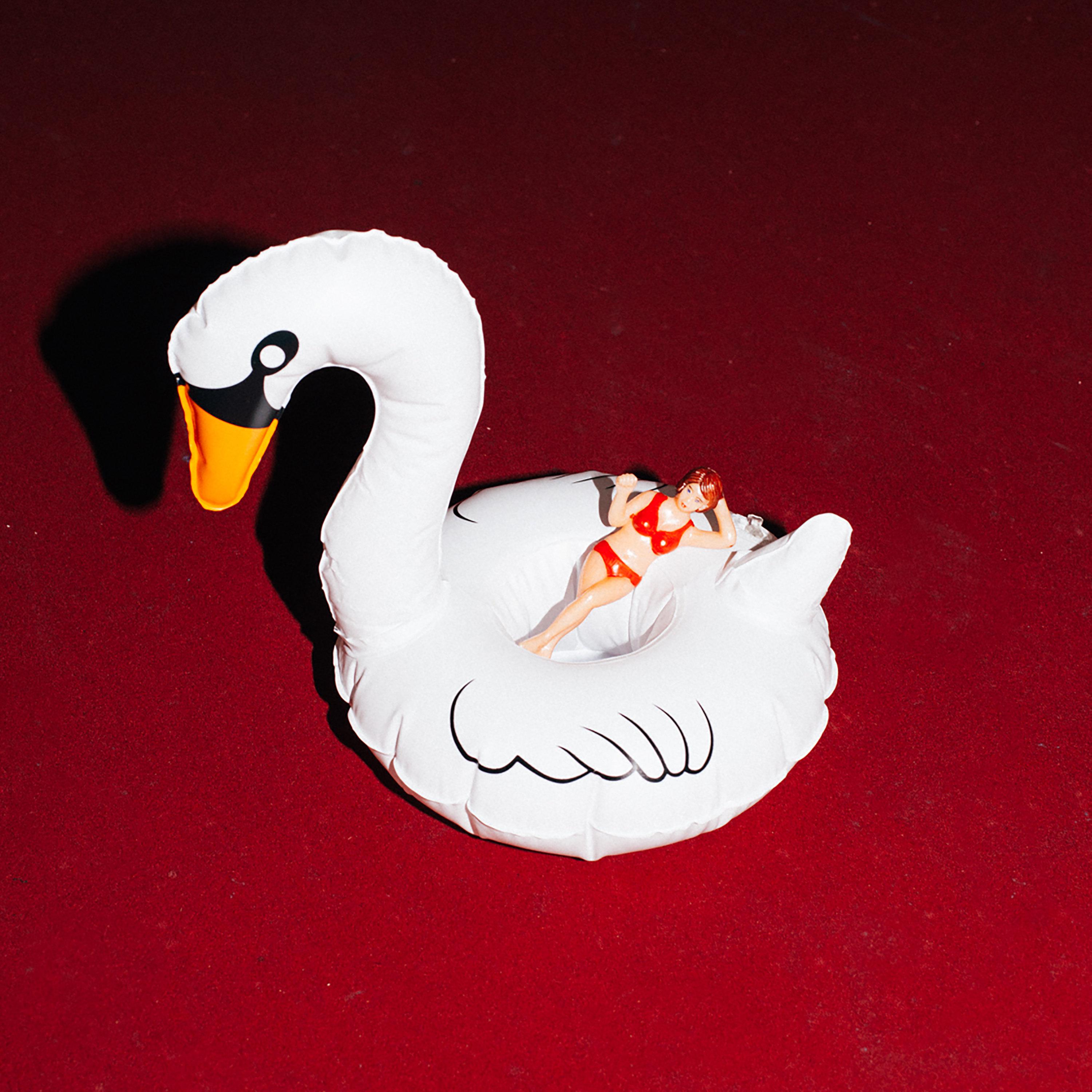 Inflatable Swan