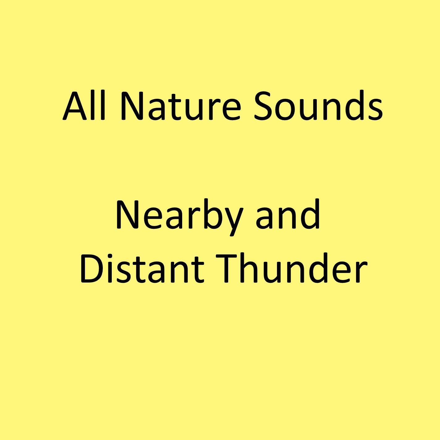 Several Thunder Sounds During Rain Storm