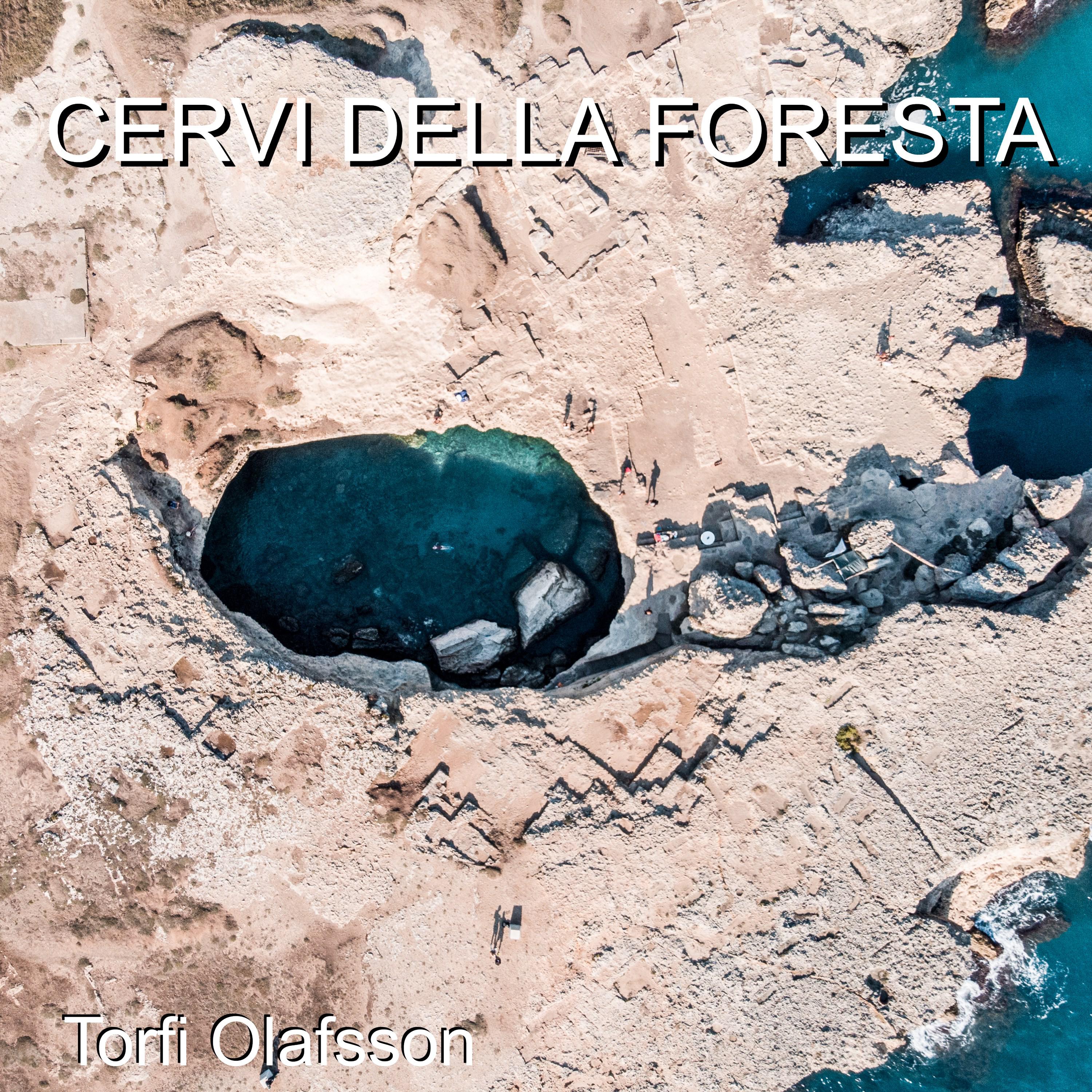 Cervi della foresta