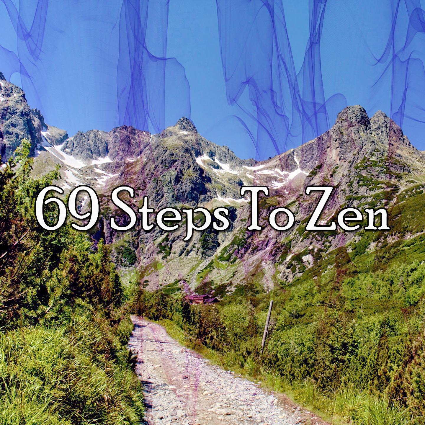 69 Steps to Zen