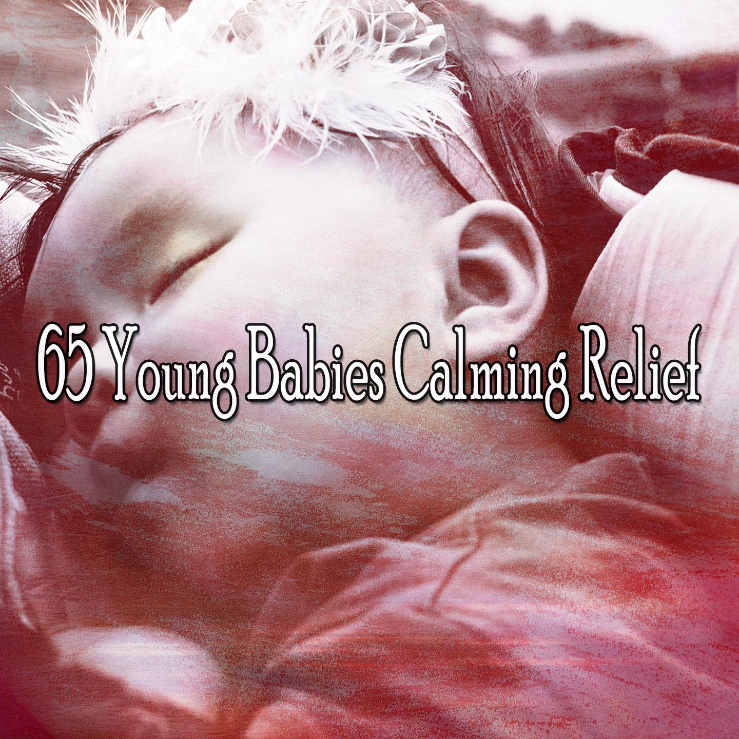 65 Young Babies Calming Relief