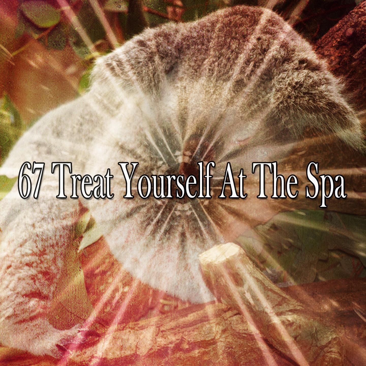 67 Treat Yourself at the Spa