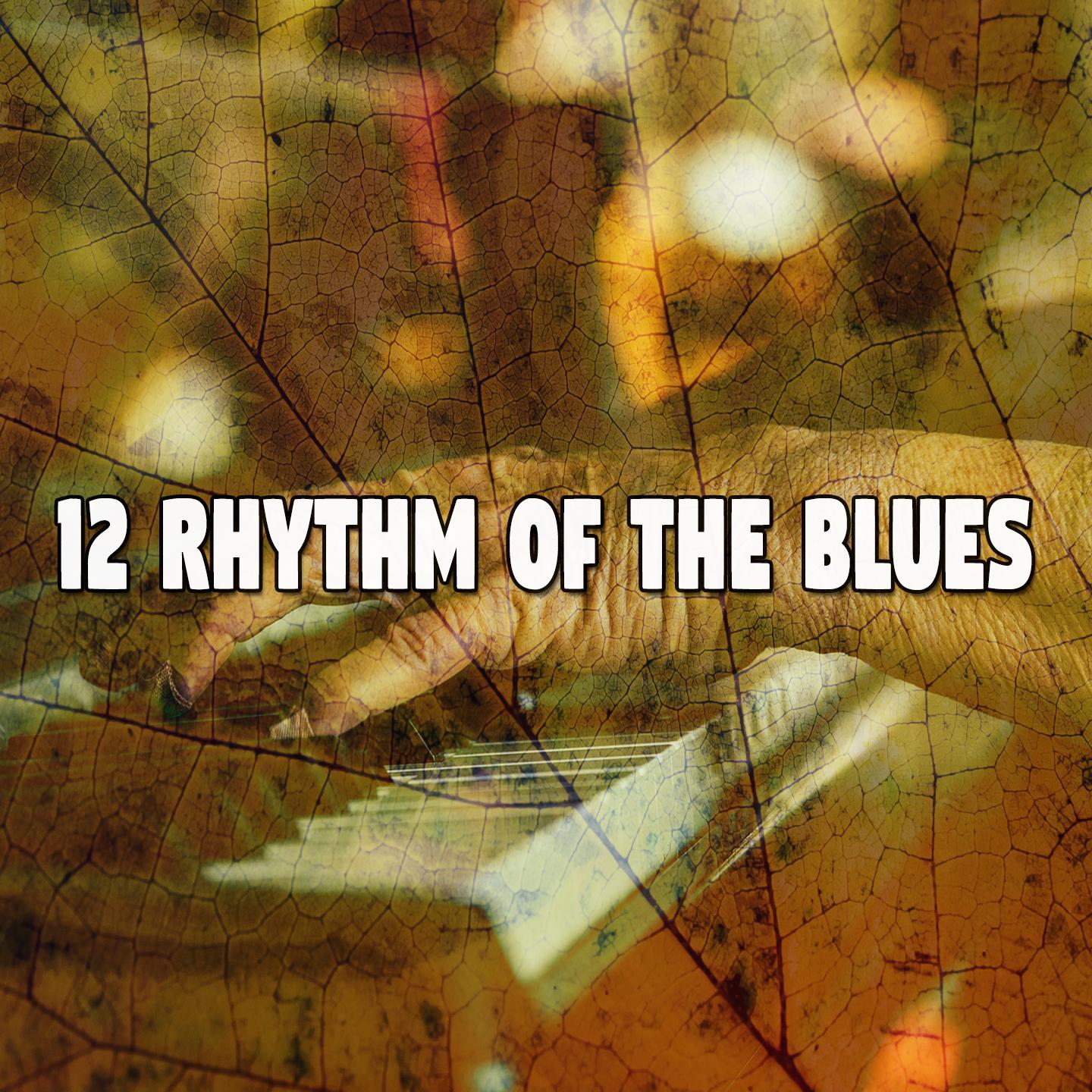 12 Rhythm of the Blues