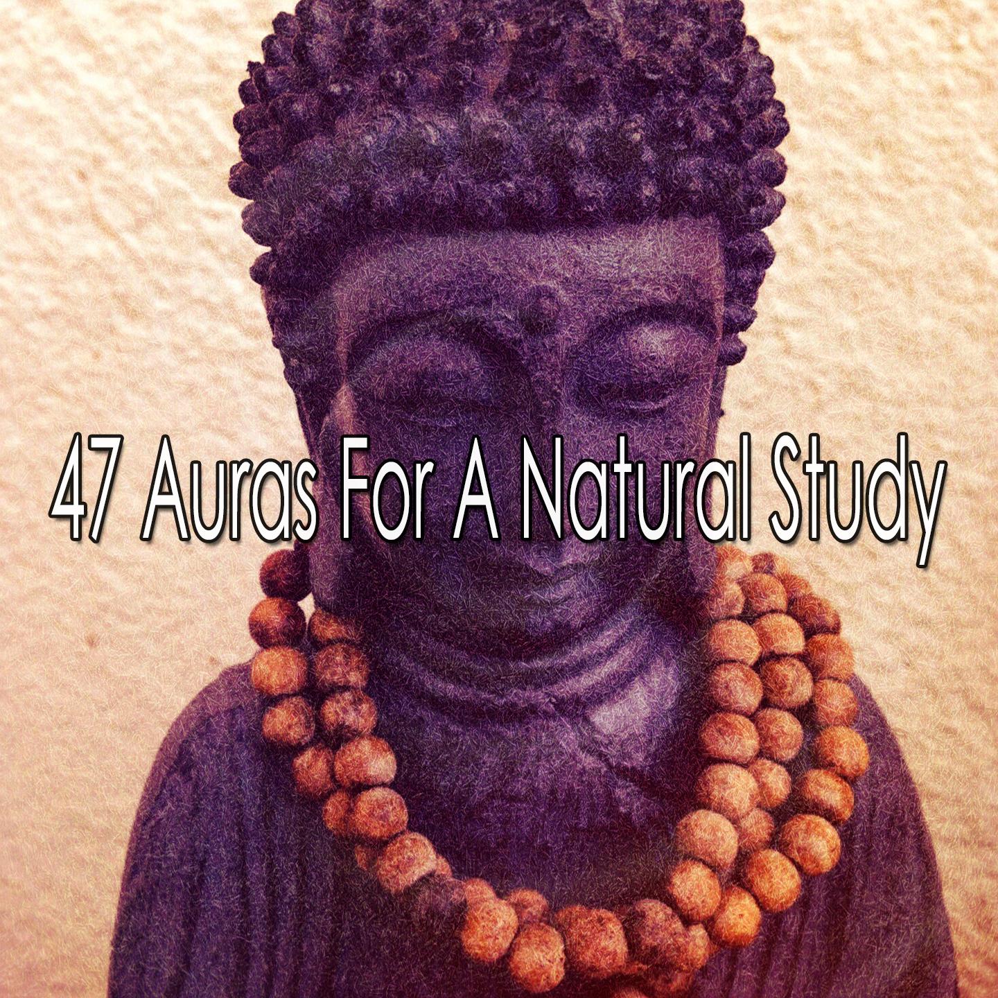 47 Auras for a Natural Study