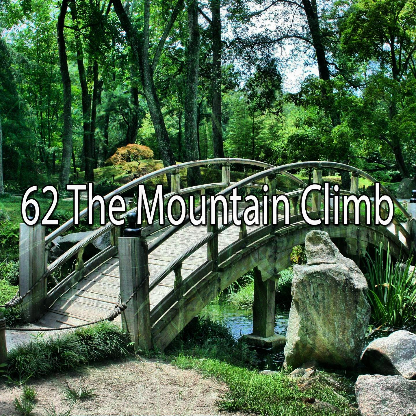 62 The Mountain Climb