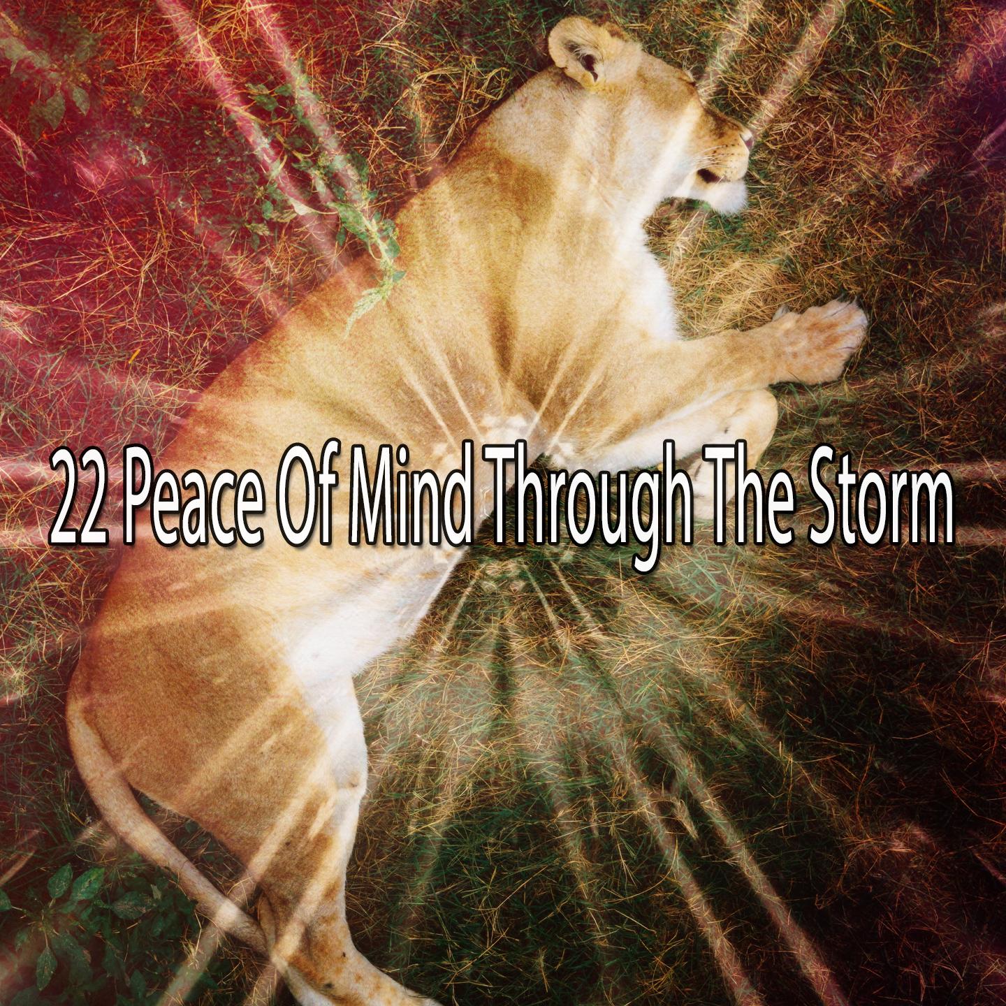 22 Peace of Mind Through the Storm