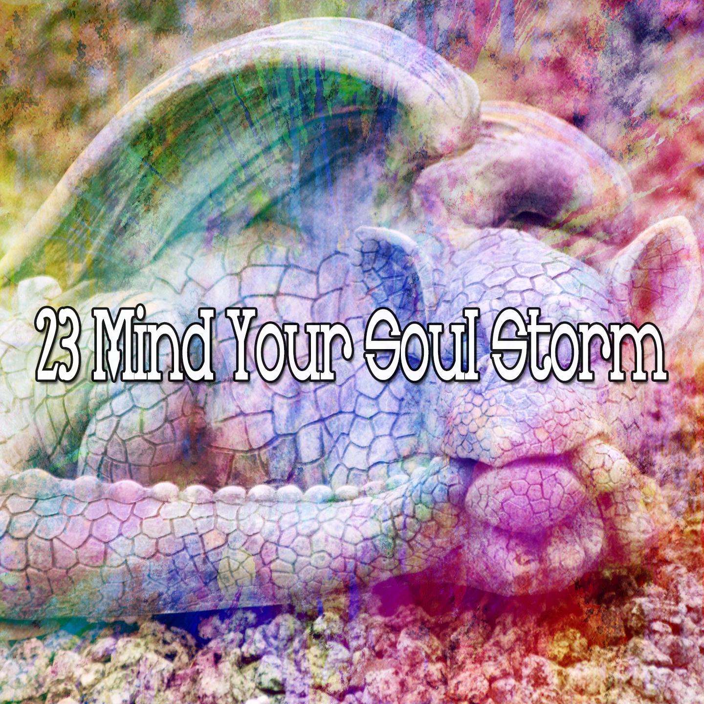 23 Mind Your Soul Storm