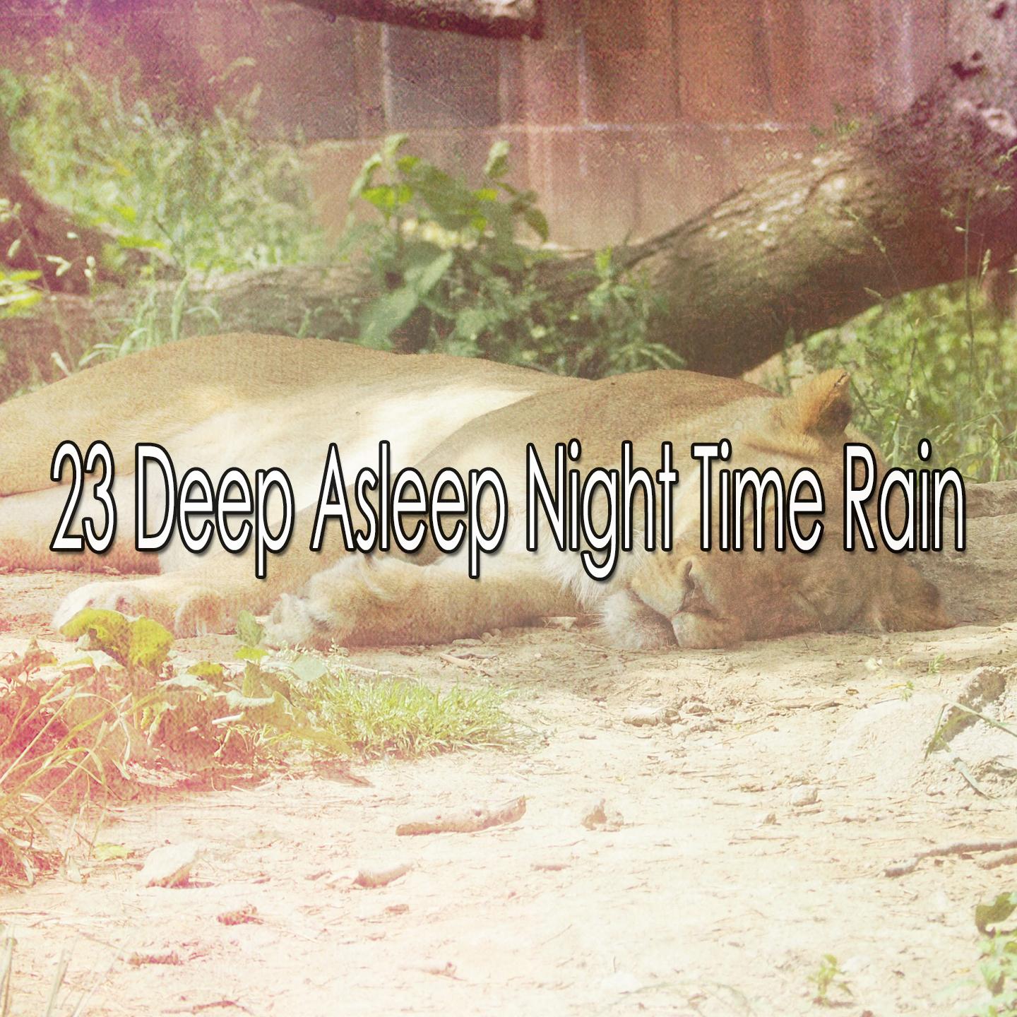 23 Deep Asleep Night Time Rain
