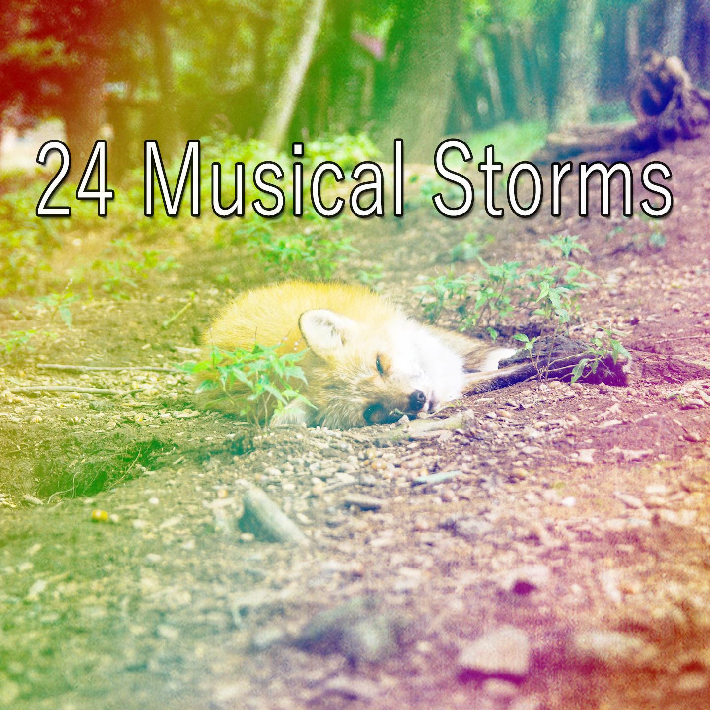 24 Musical Storms