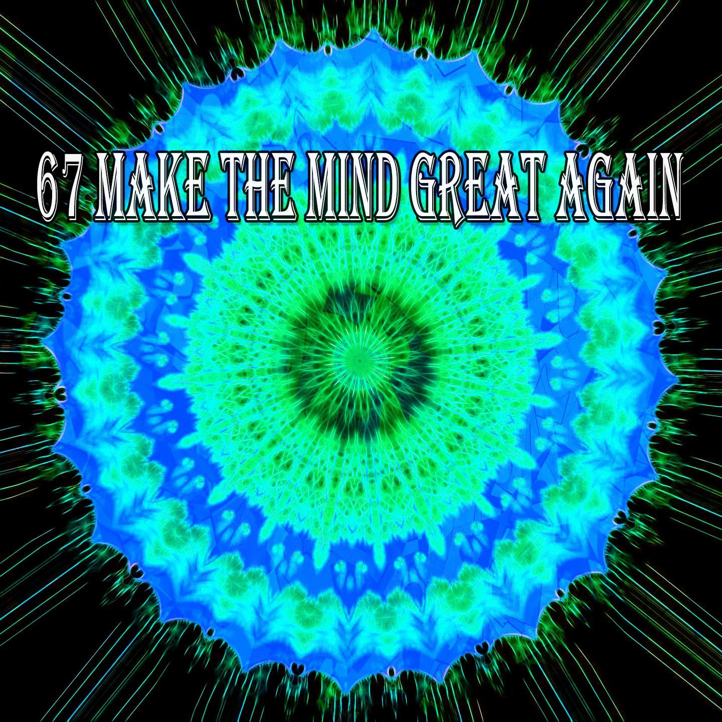 67 Make the Mind Great Again