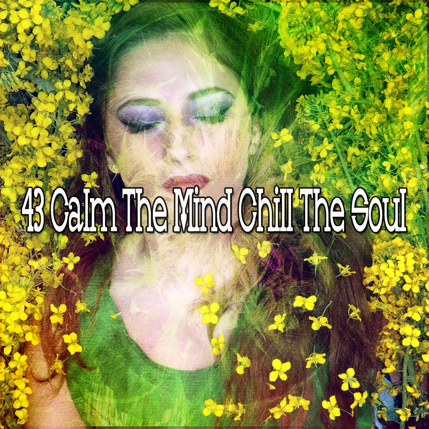 43 Calm the Mind Chill the Soul