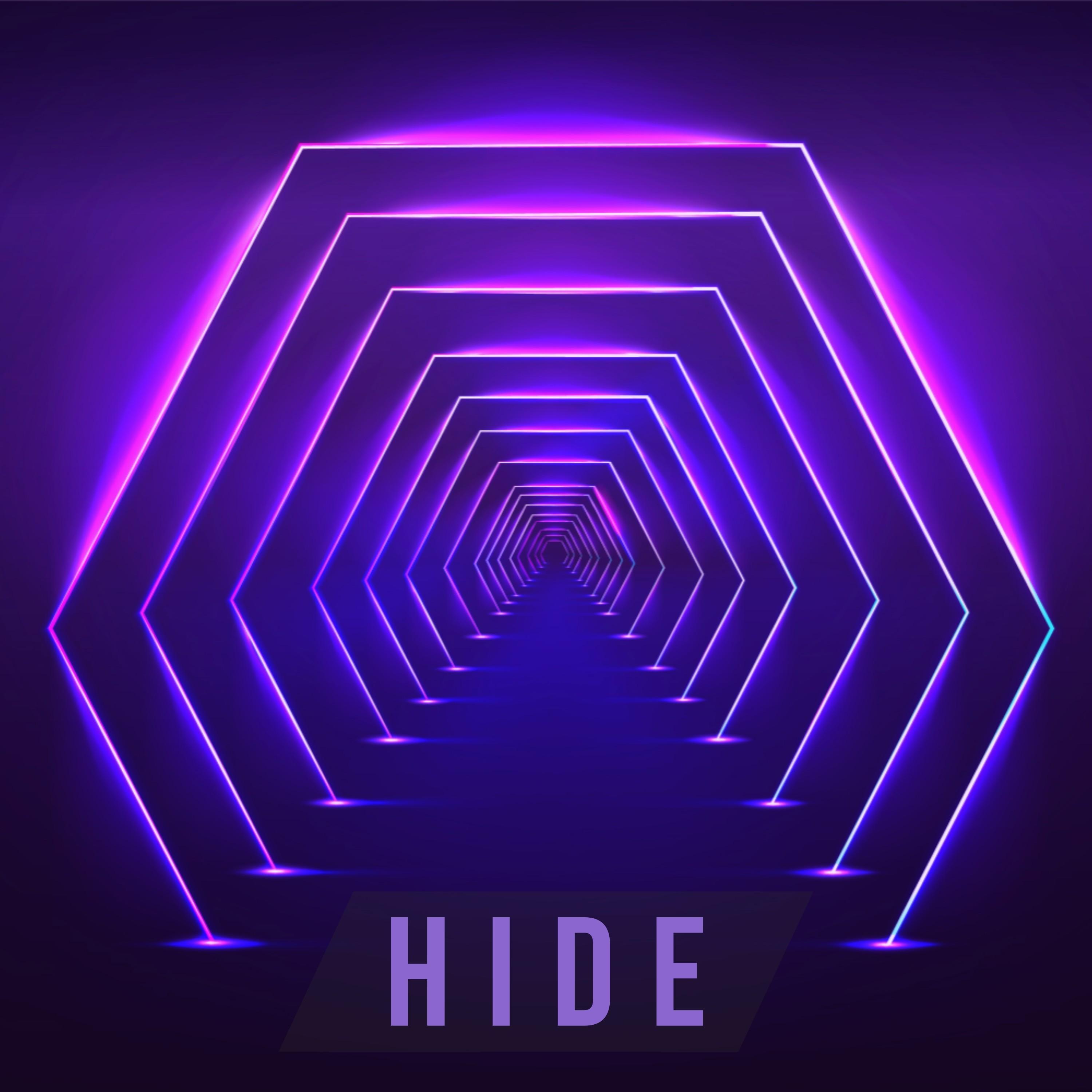 Hide