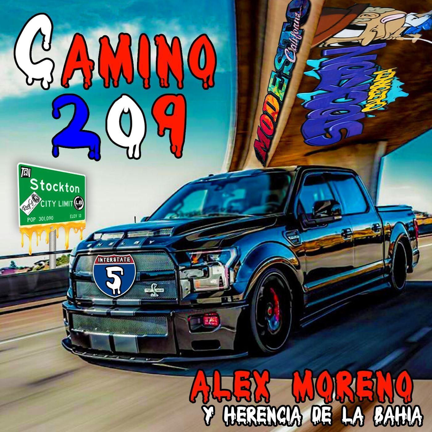 Camino 209