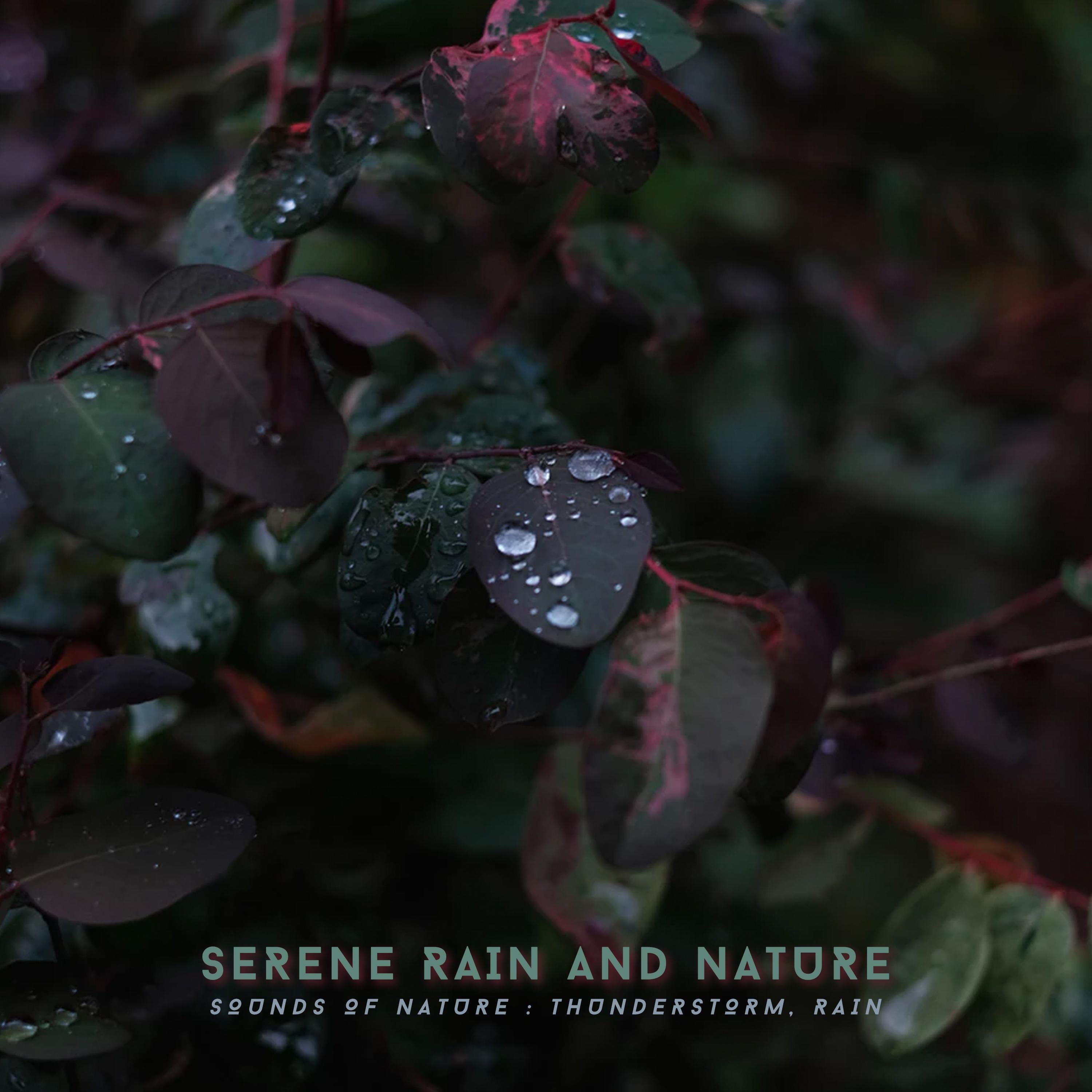 Serene Rain and Nature