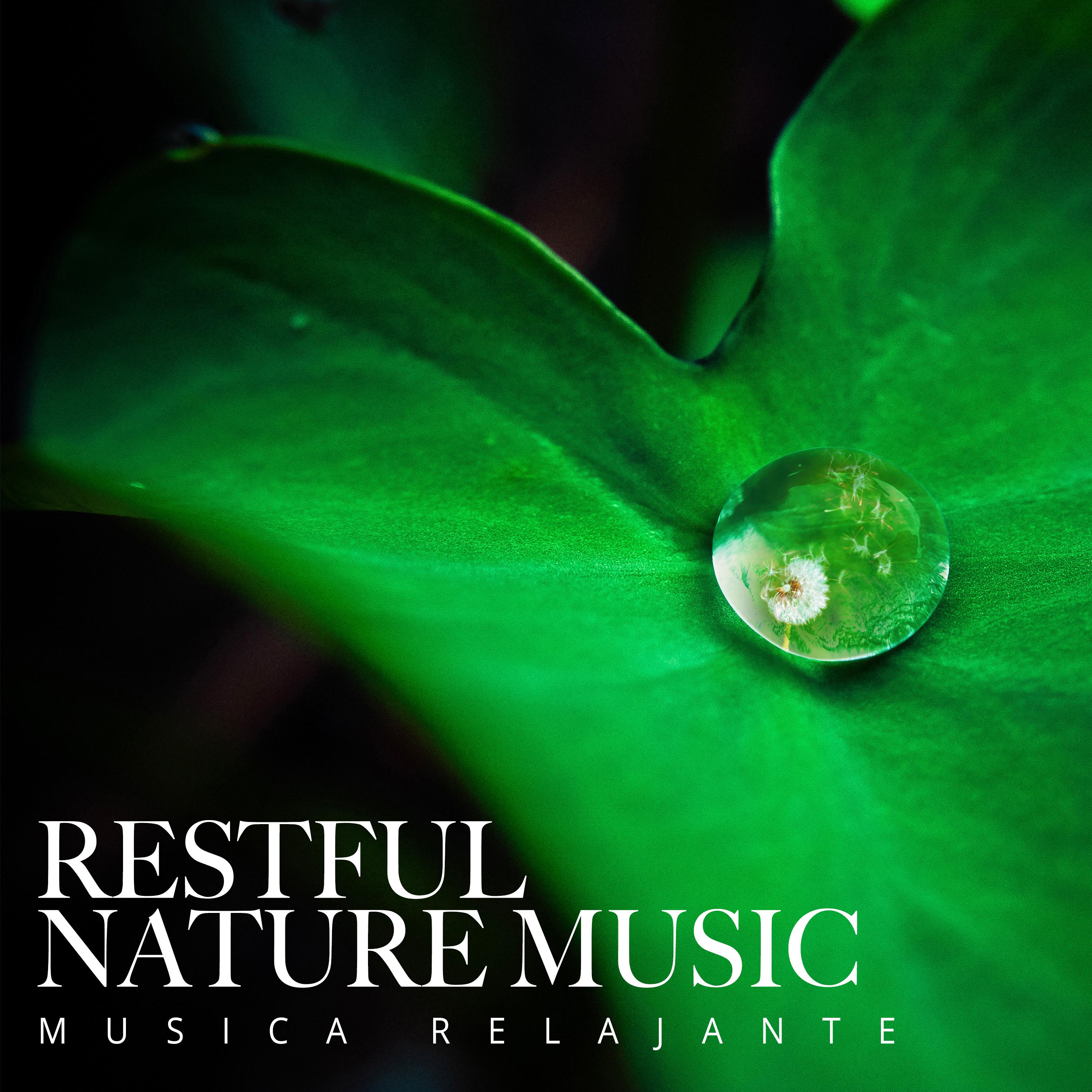 Restful Nature Music