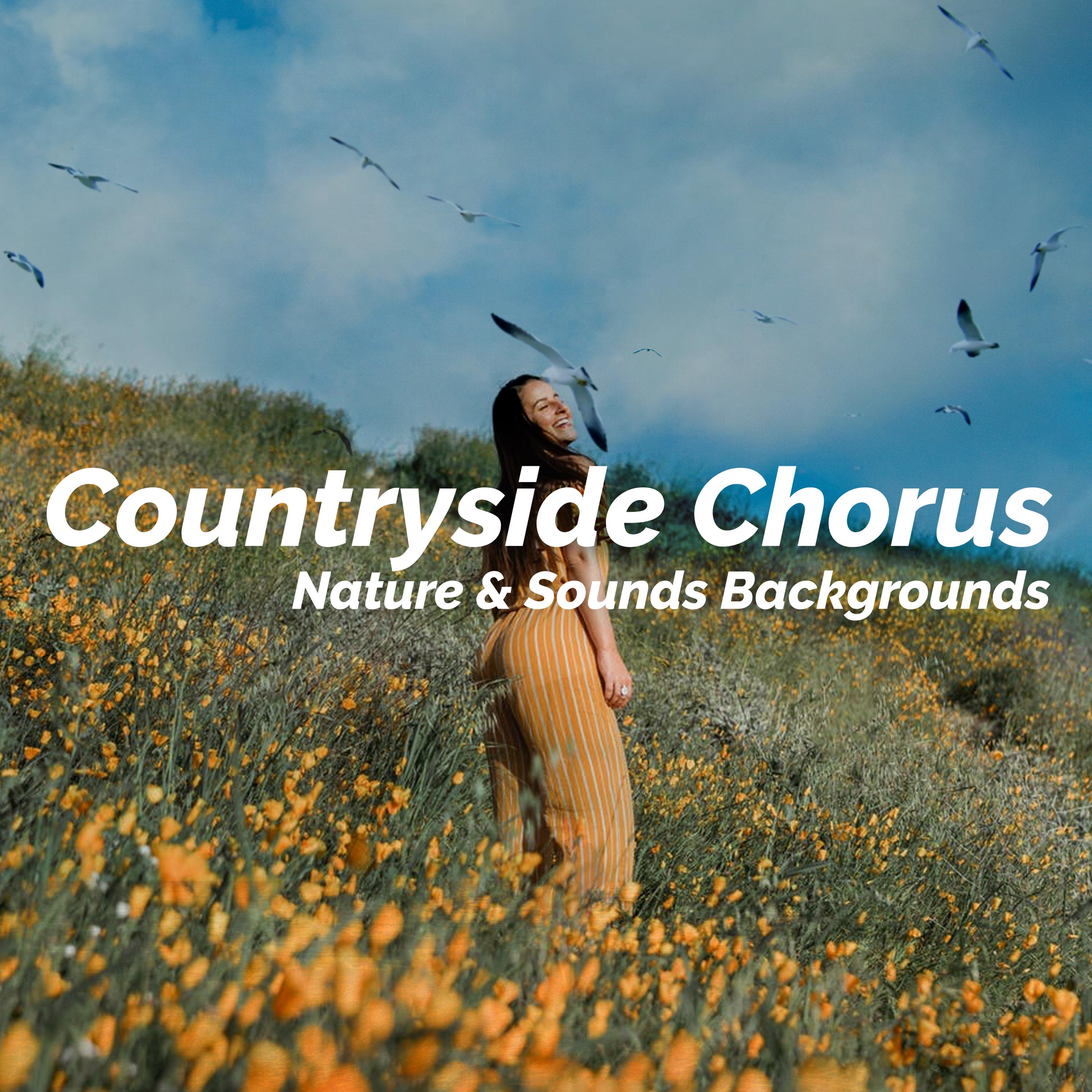 Countryside Chorus