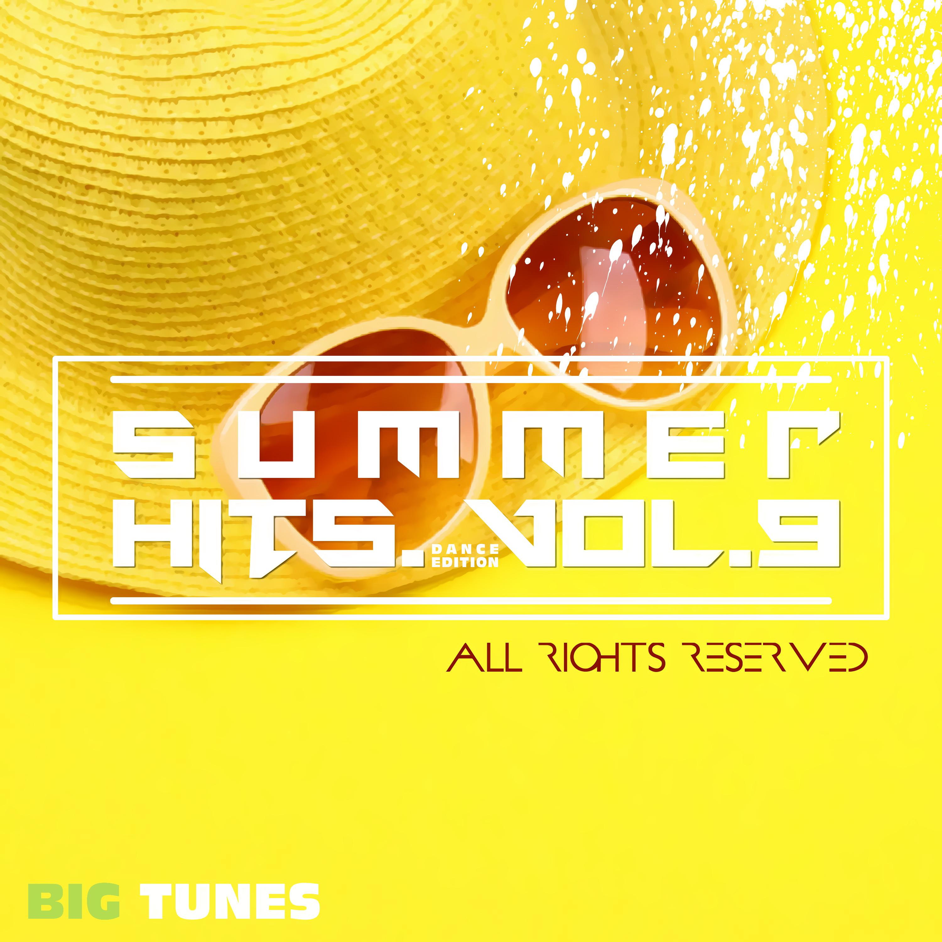 Summer Hits Dance Edition, Vol. 9
