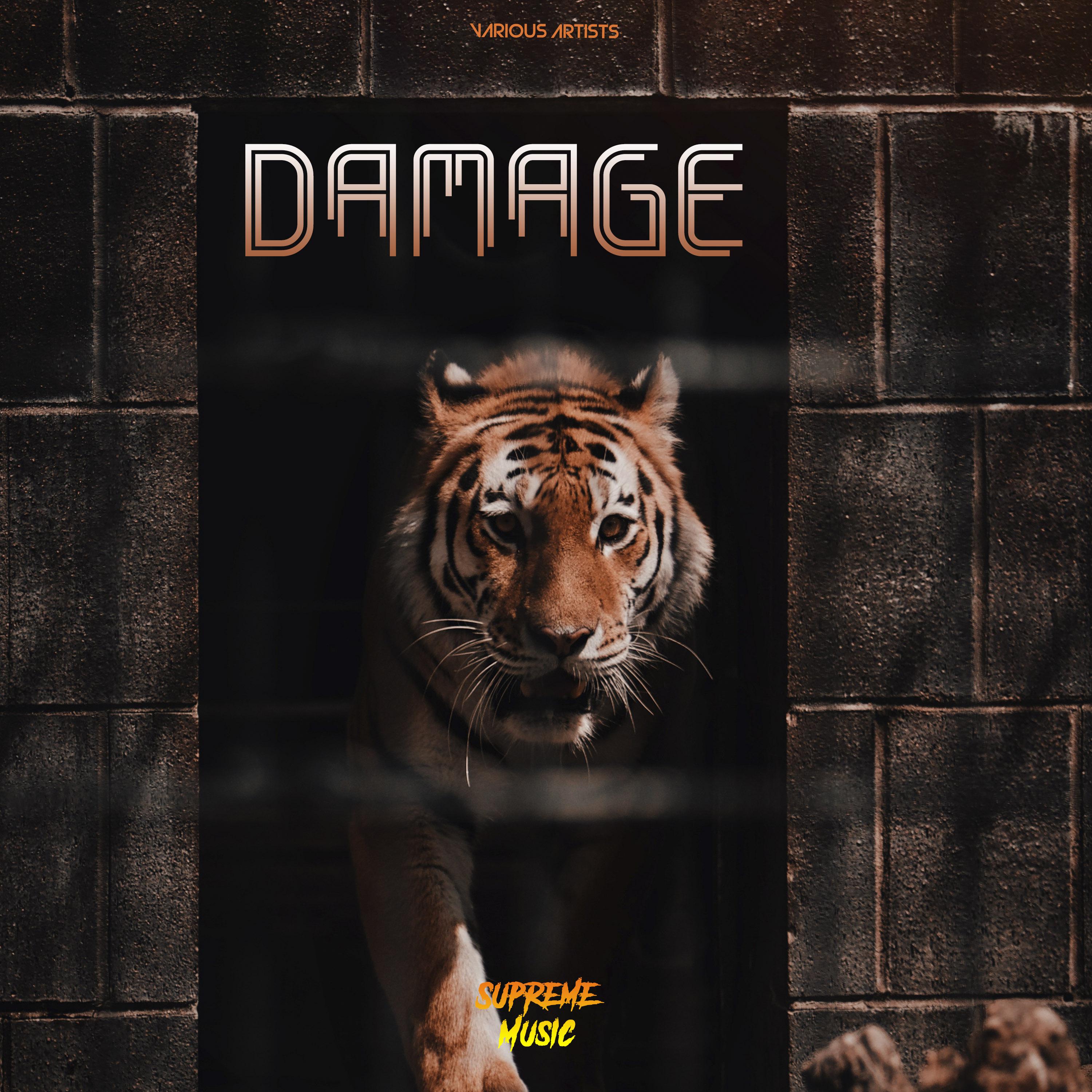 Damage