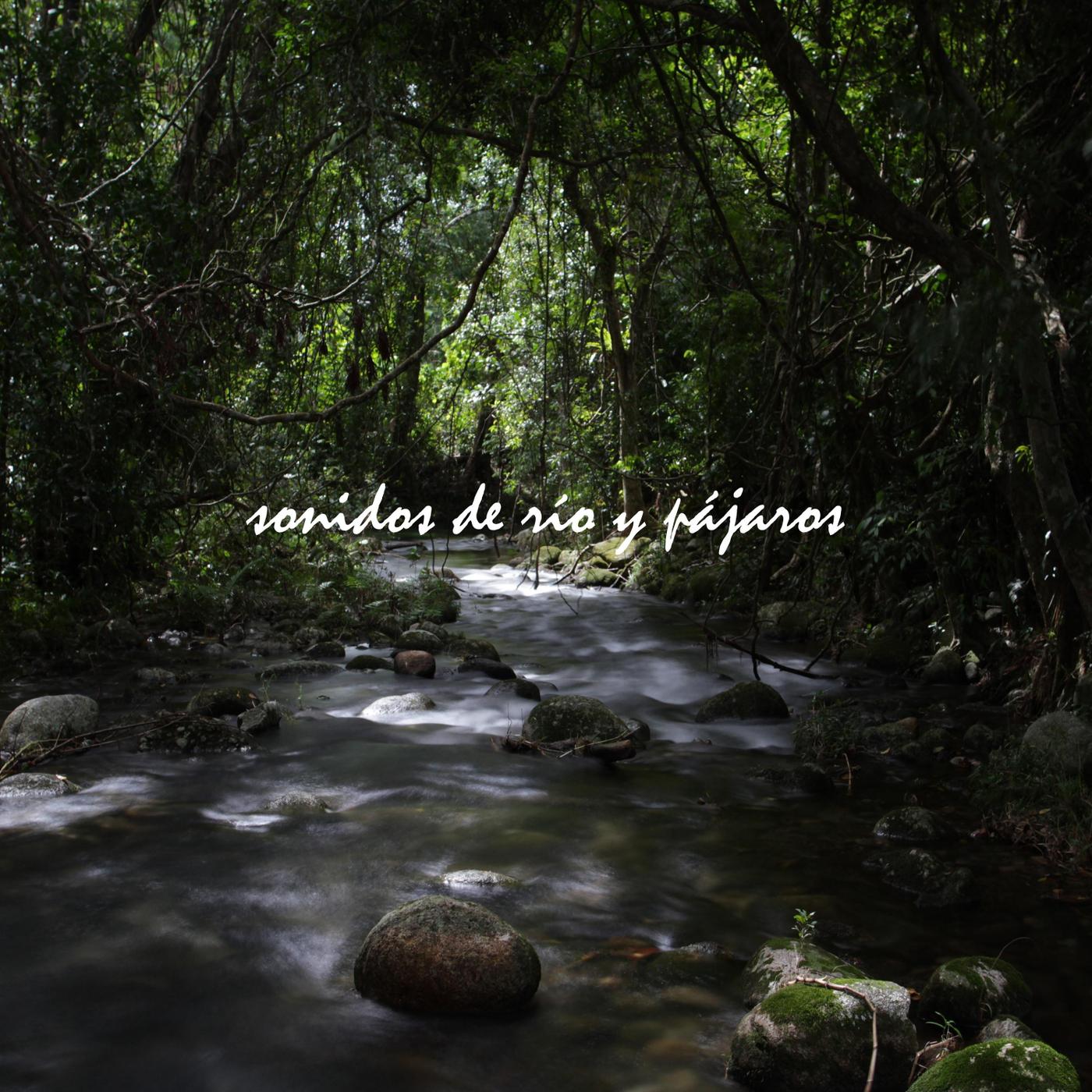 Sonidos de Río y Pájaros, Pt. 06