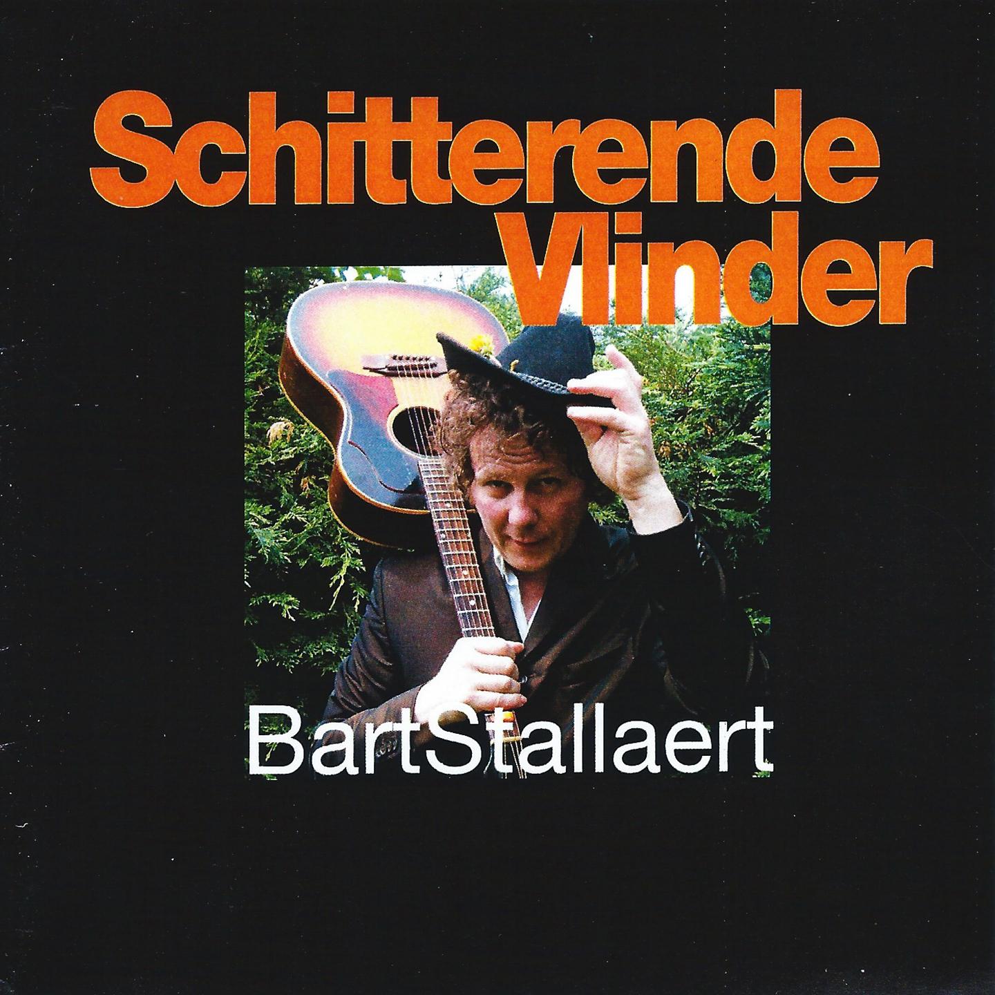 Schitterende Vlinder