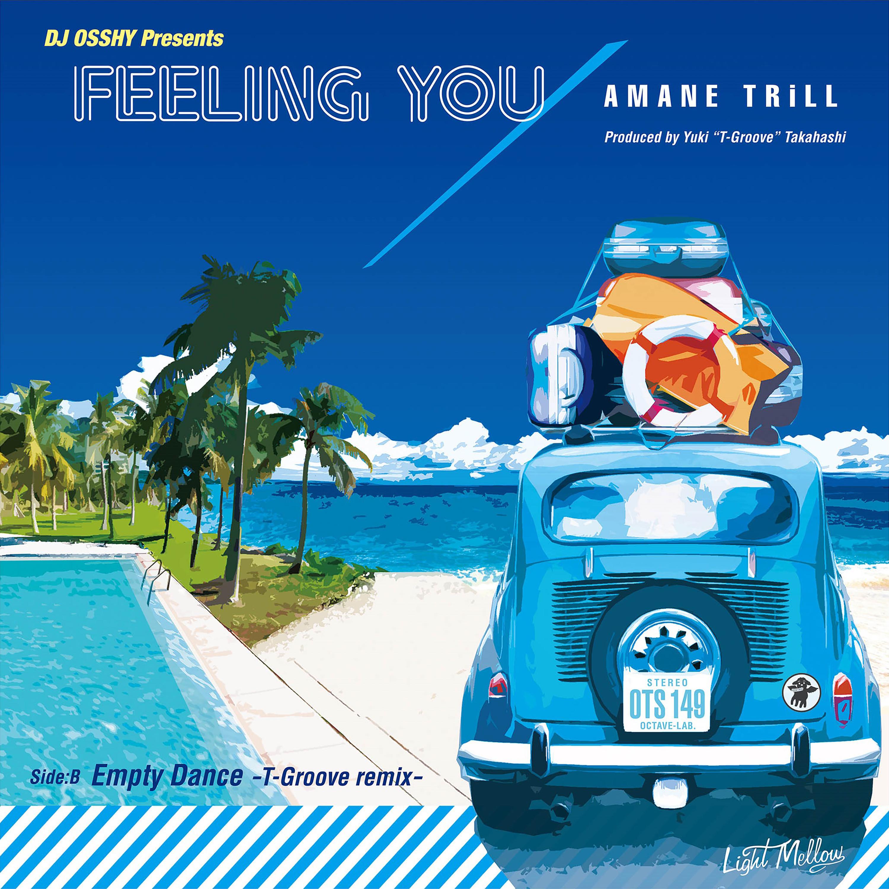 Feeling You / Empty Dance -T-Groove remix-