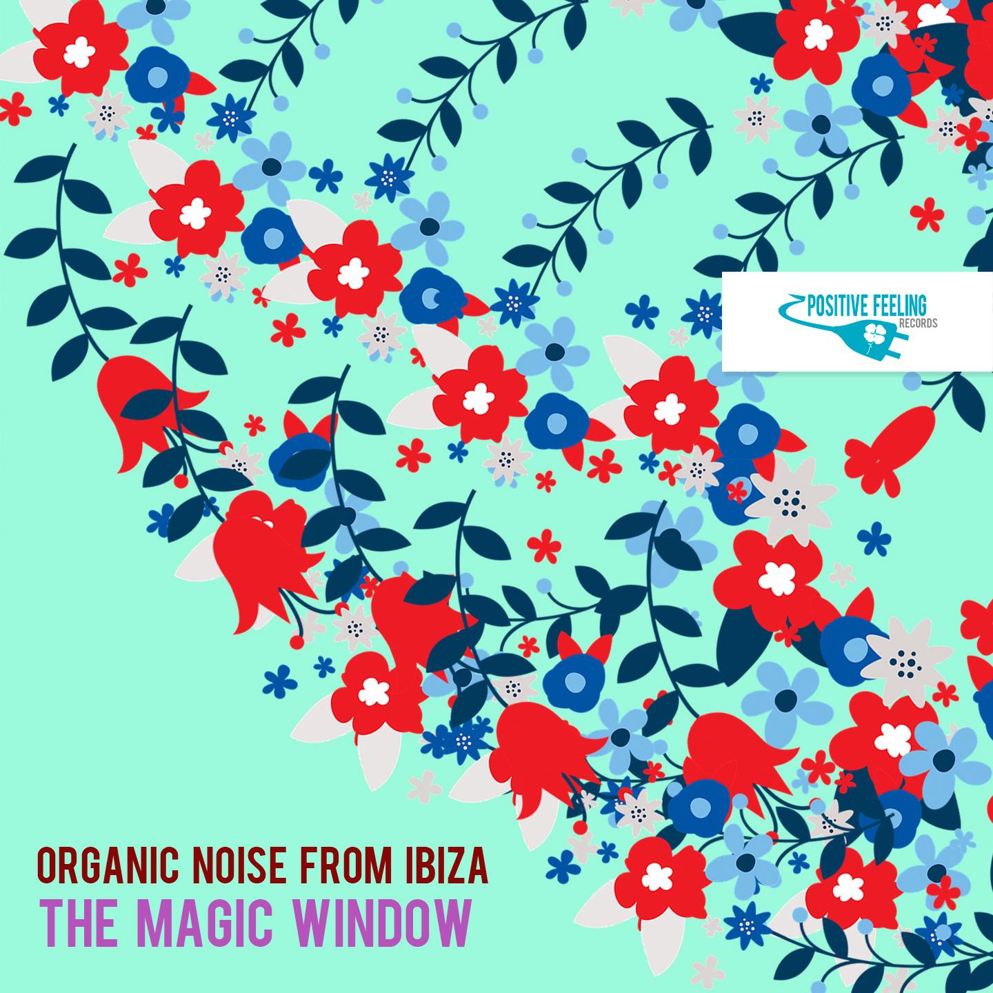 The Magic Window