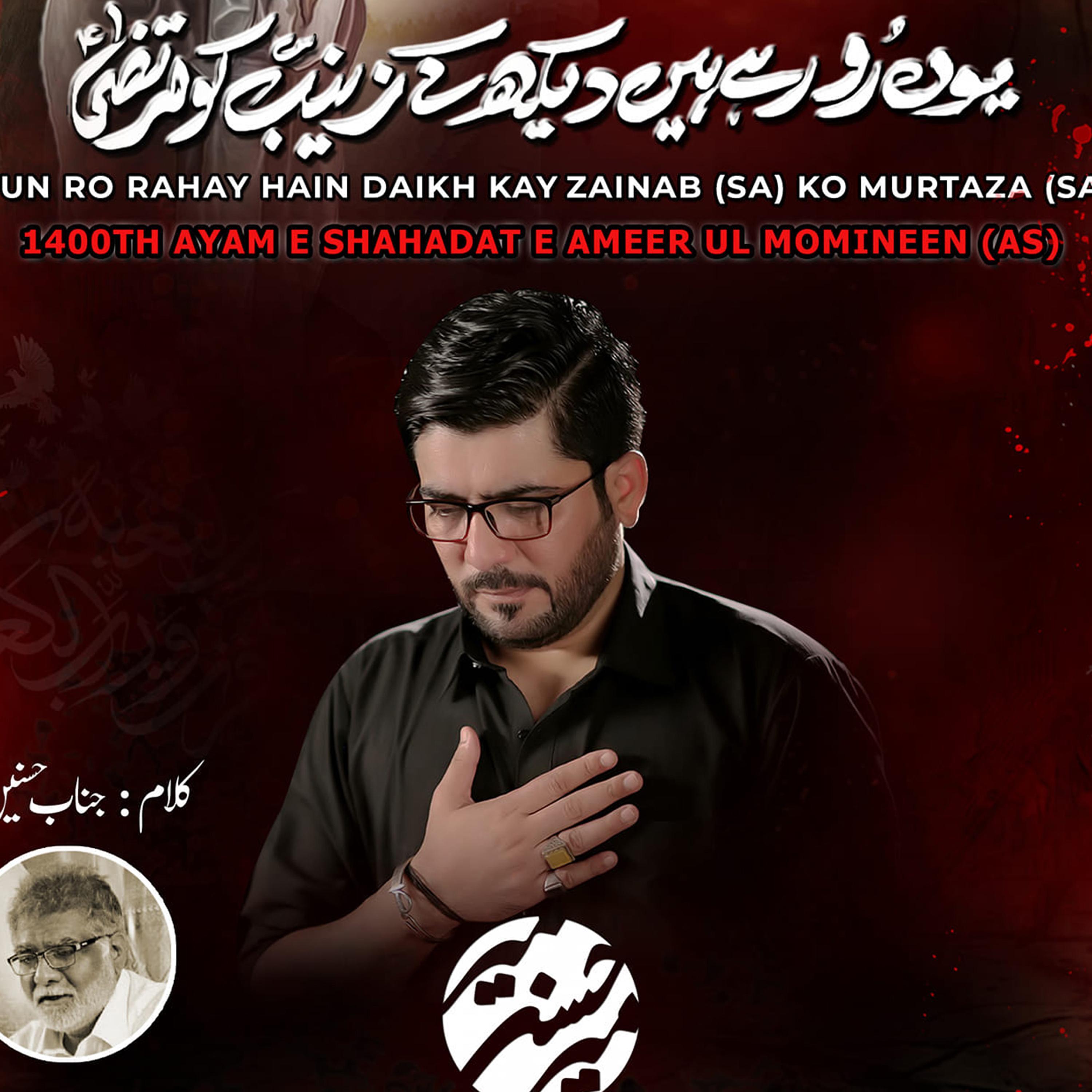 Youn Ro Rahay Hain Dekh Kay Zainab Ko Murtaza