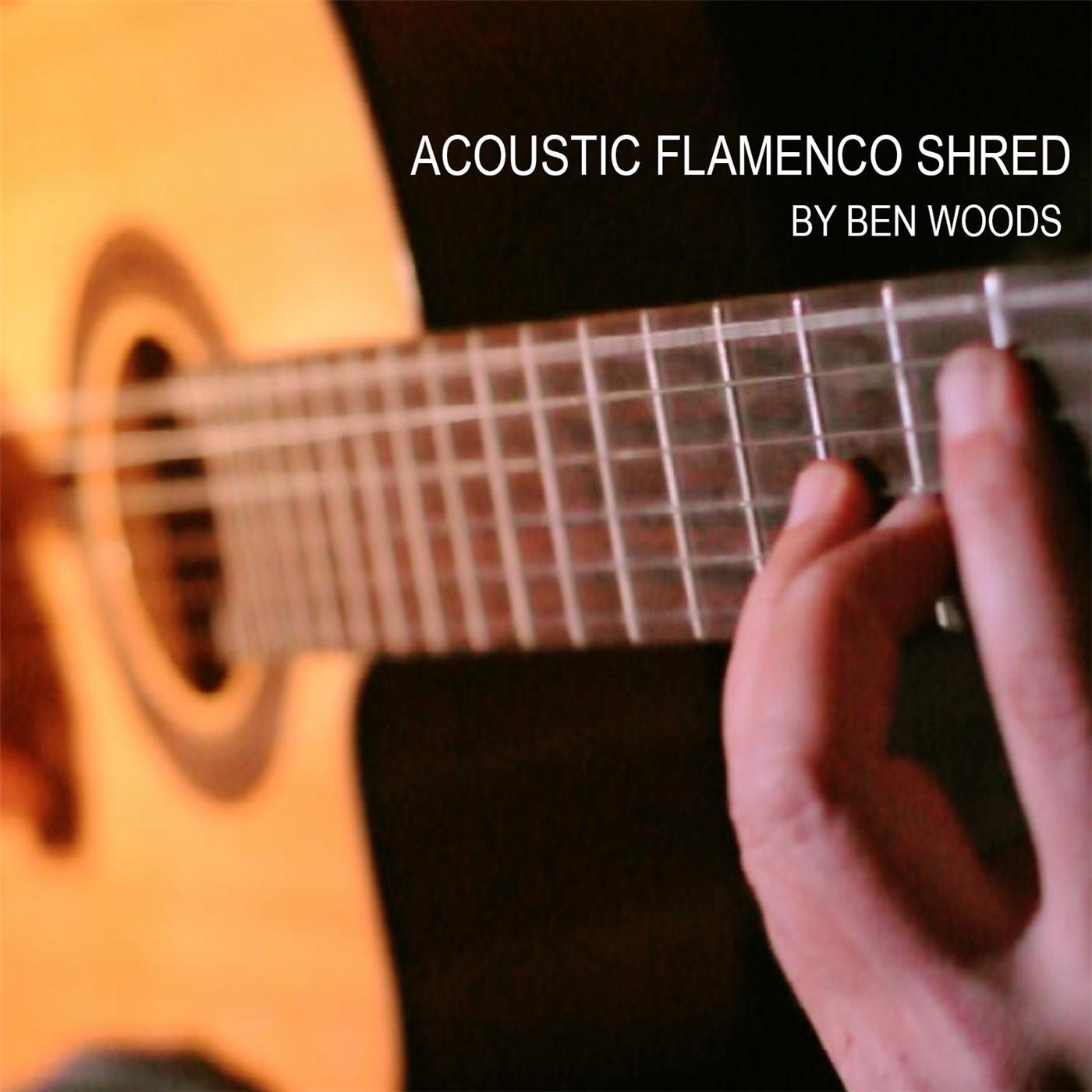 Acoustic Flamenco Shred