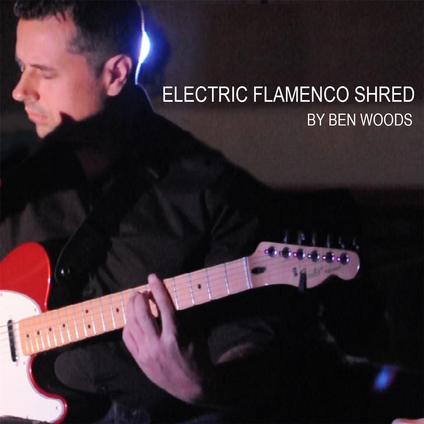 Electric Flamenco Shred